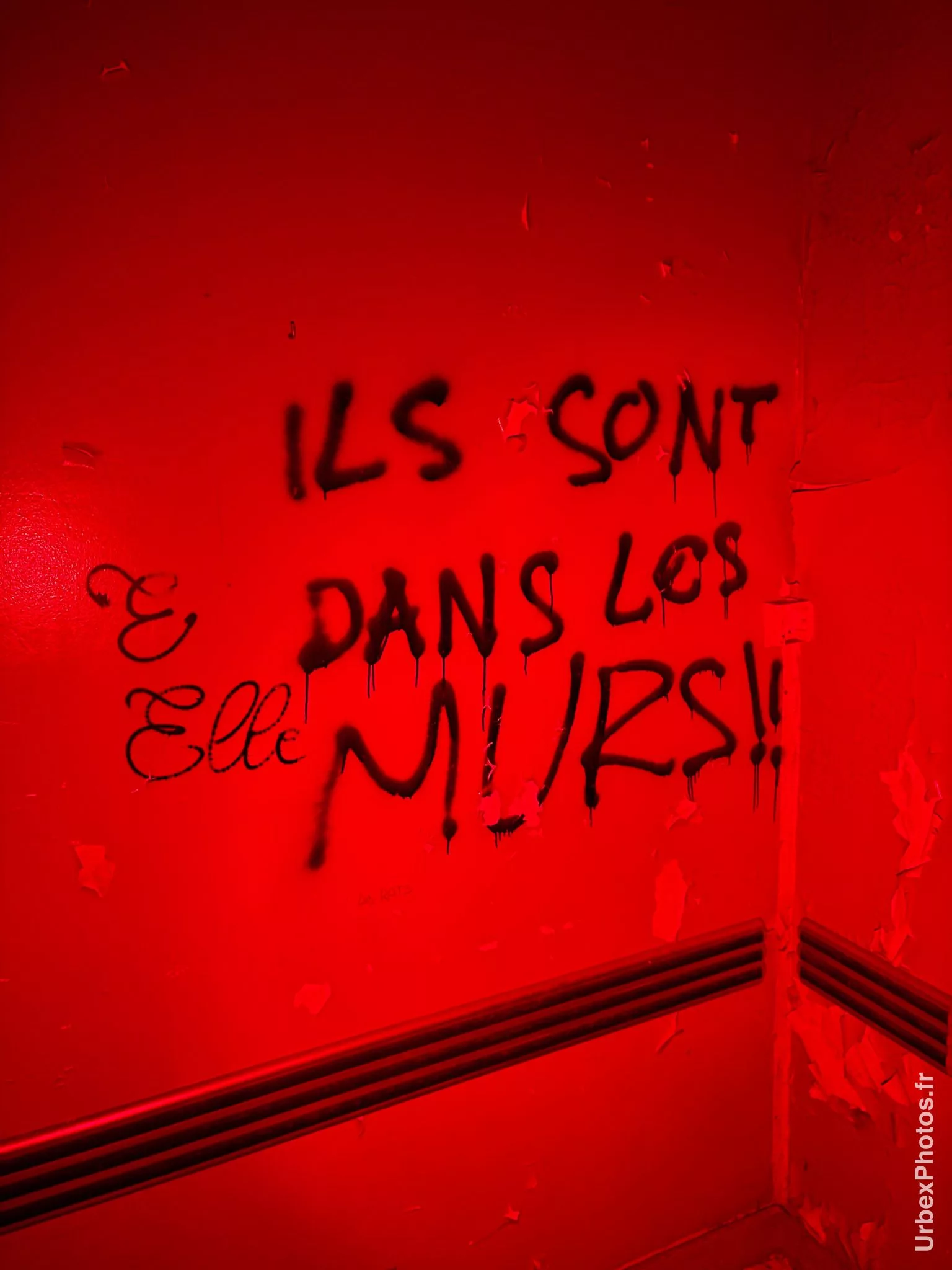 Message indiquant "Ils sont dans les murs"