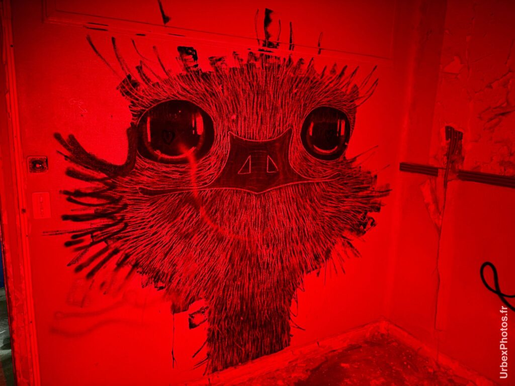 Dessin du visage d'une autruche dans le Sanatorium Simone Weber