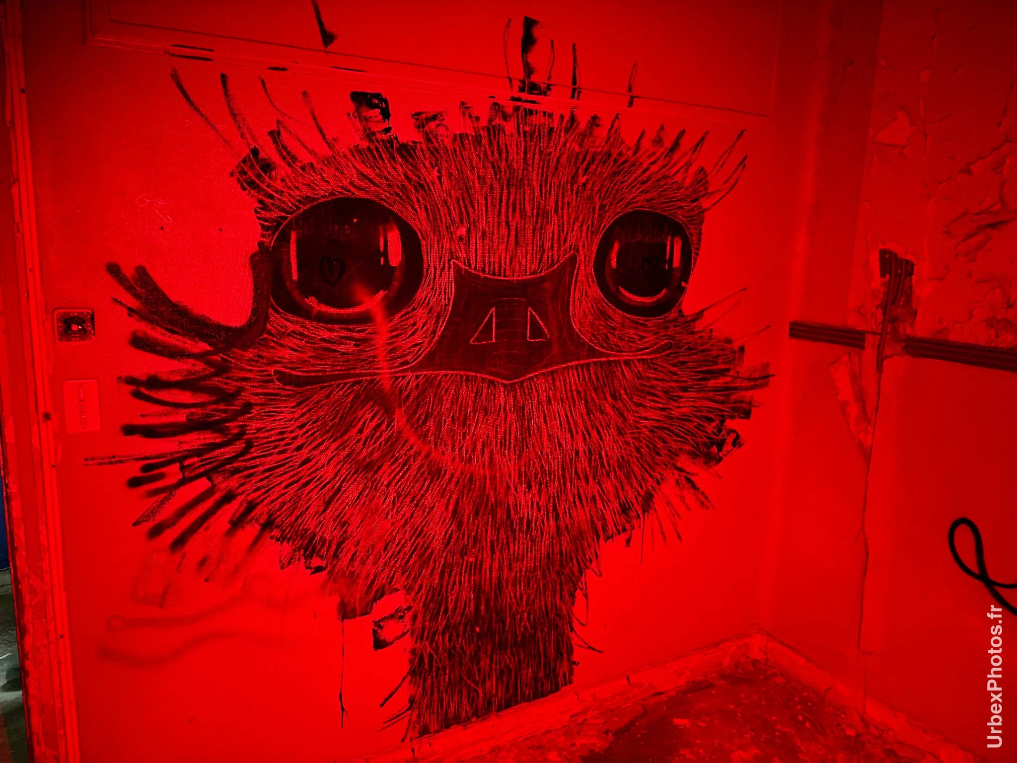 Dessin du visage d'une autruche dans le Sanatorium Simone Weber