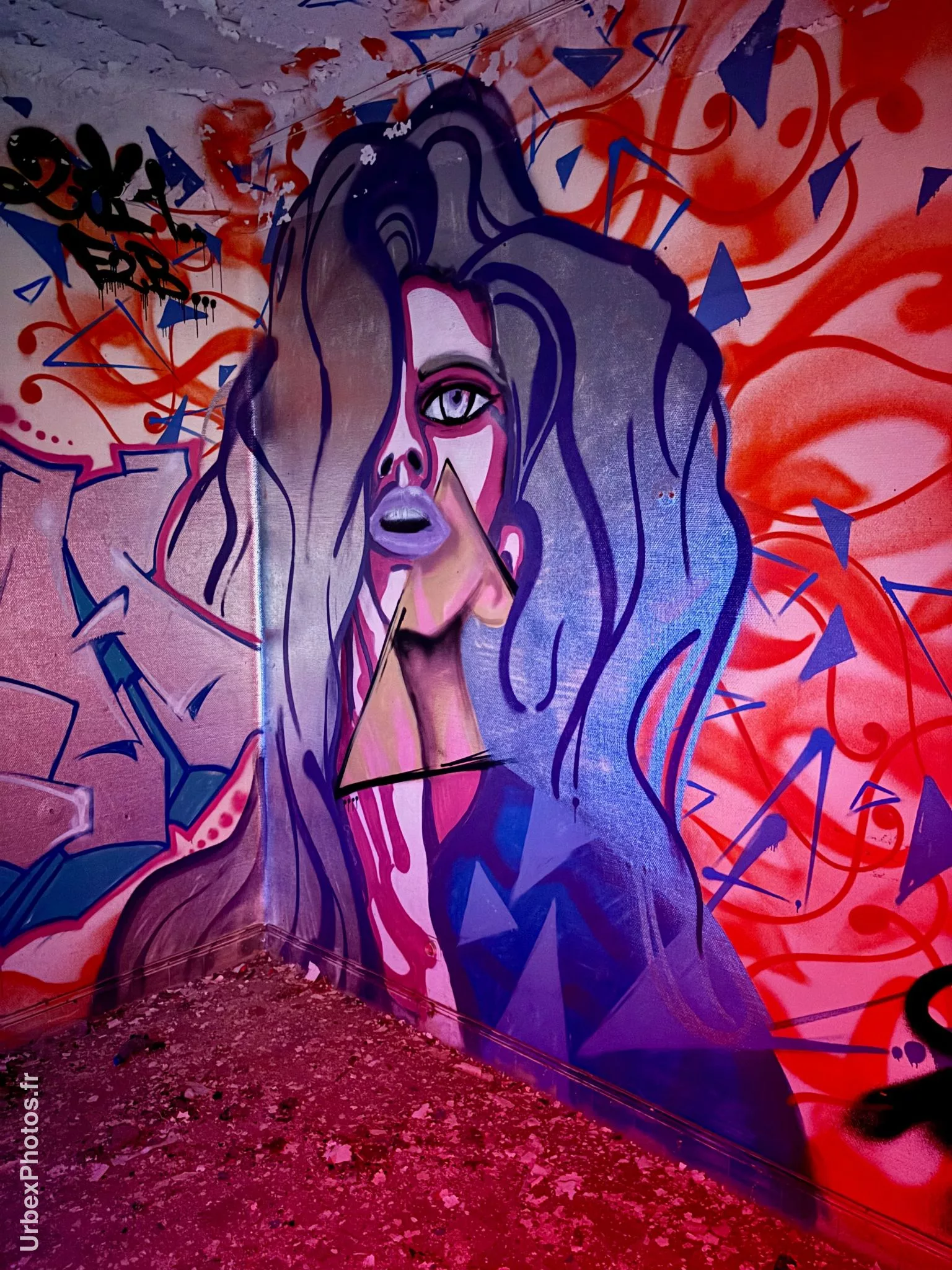 Photo urbex du graffiti d'une femme dans le Sanatorium Simone Weber en Lorraine
