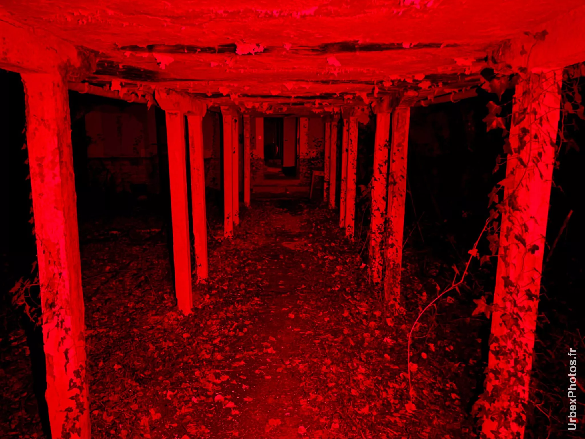 Photo urbex de la galerie couverte de l'Hôtel Bonin en Lorraine