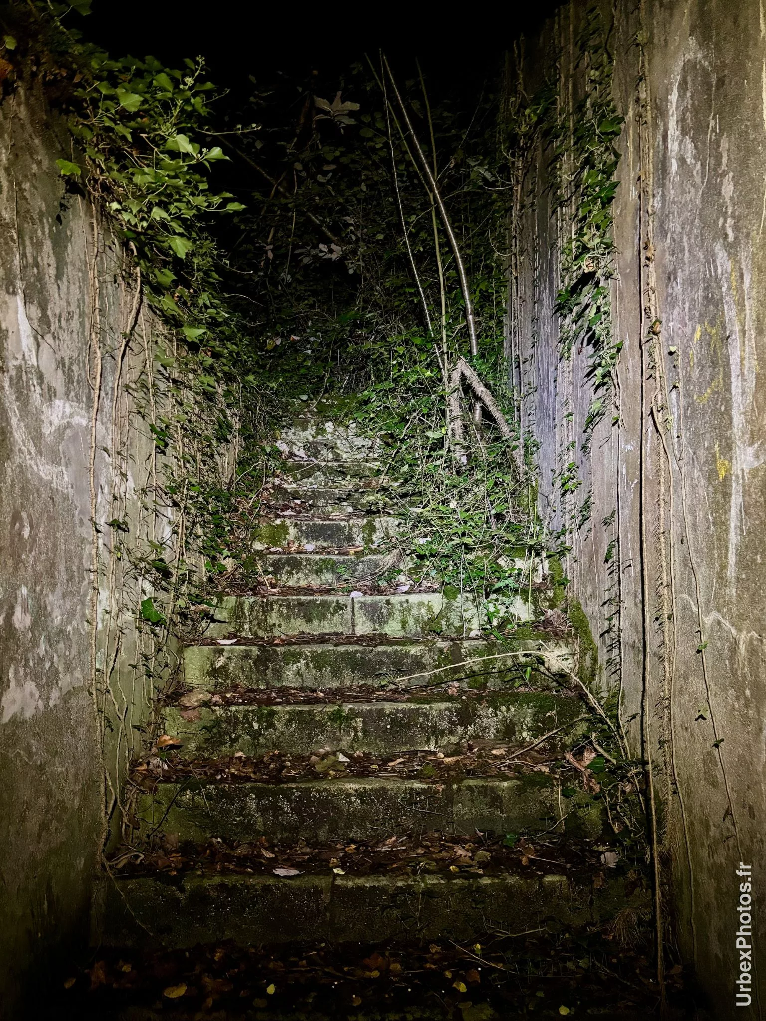 Photo urbex d'un escalier d'accès au Fort Fischer en Lorraine
