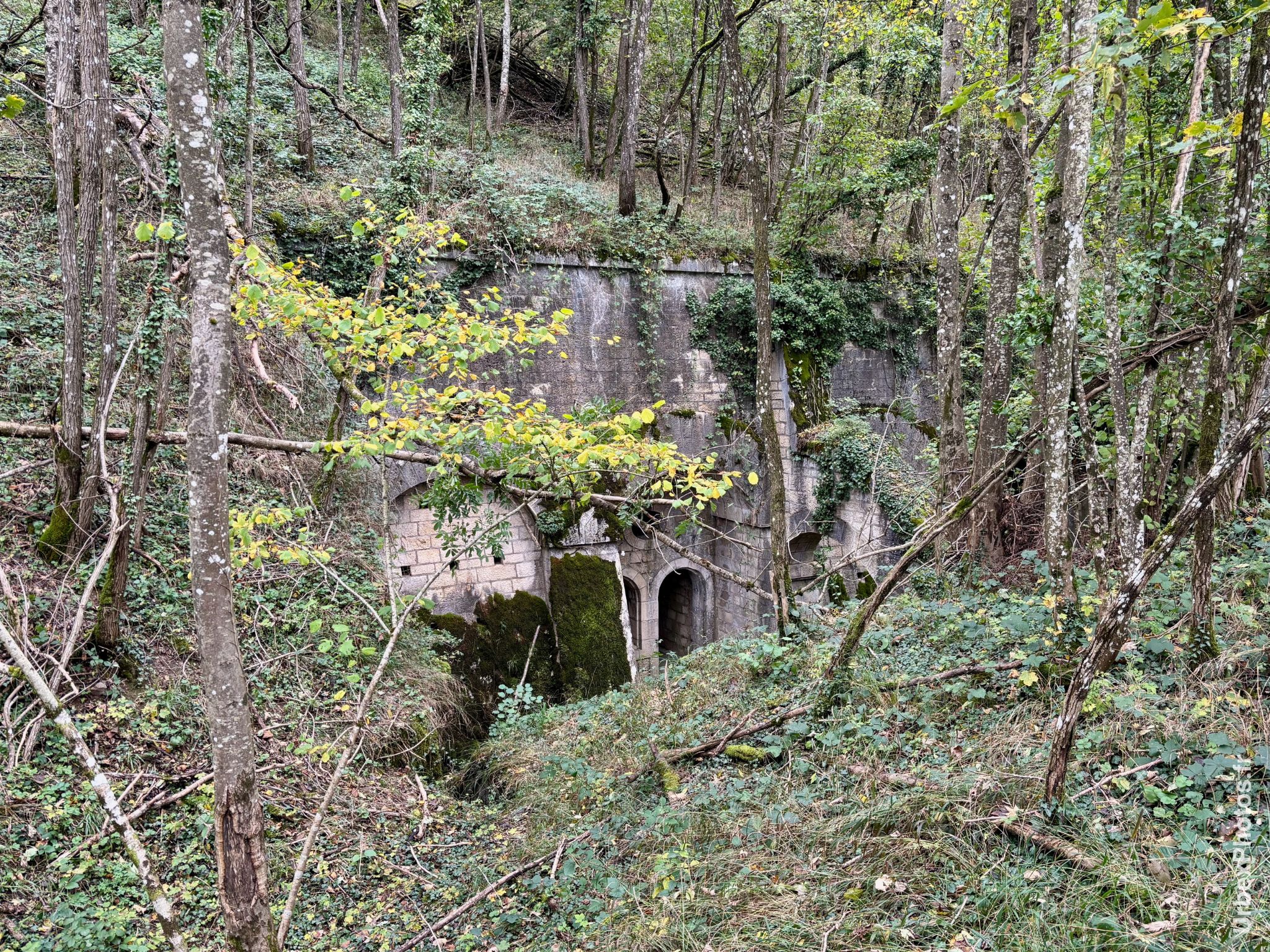Une casemate du Fort Orwell en pleine forêt