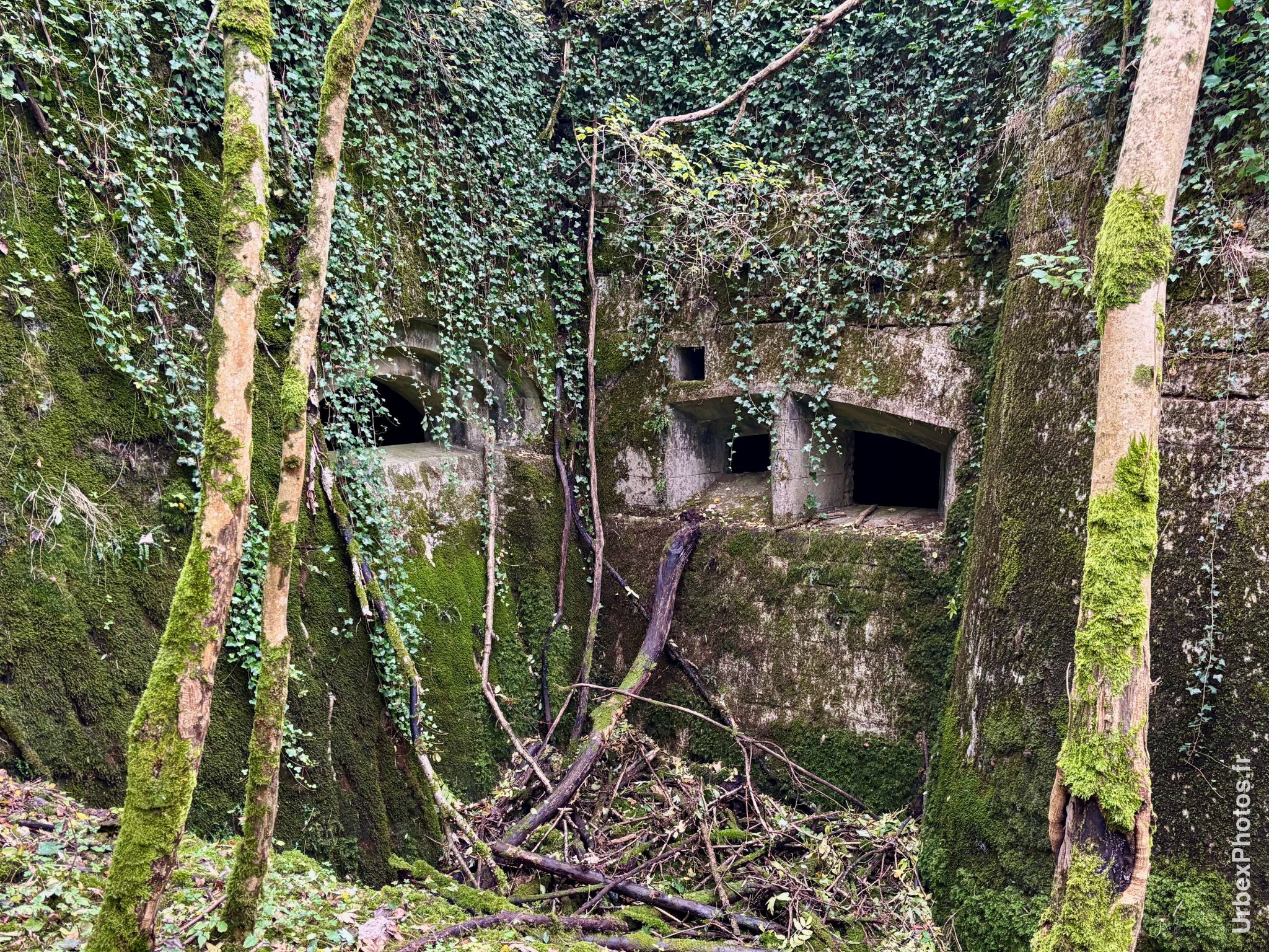 Des créneaux dans les fortifications