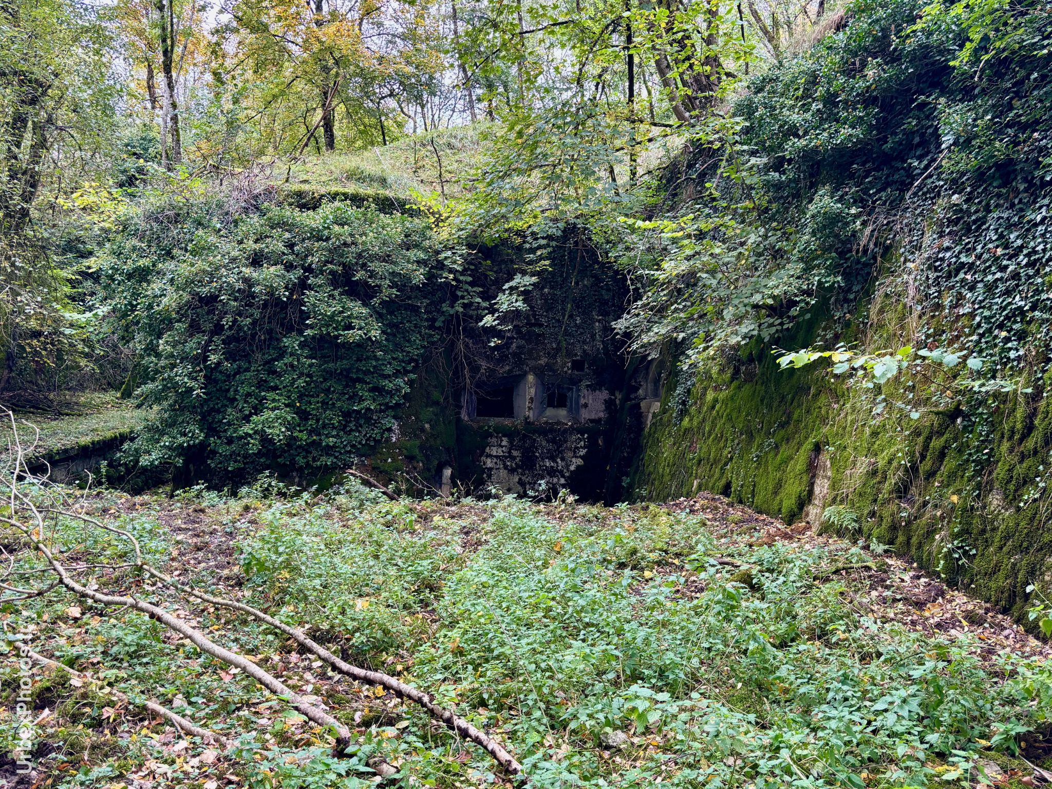 Des créneaux dans les fortifications