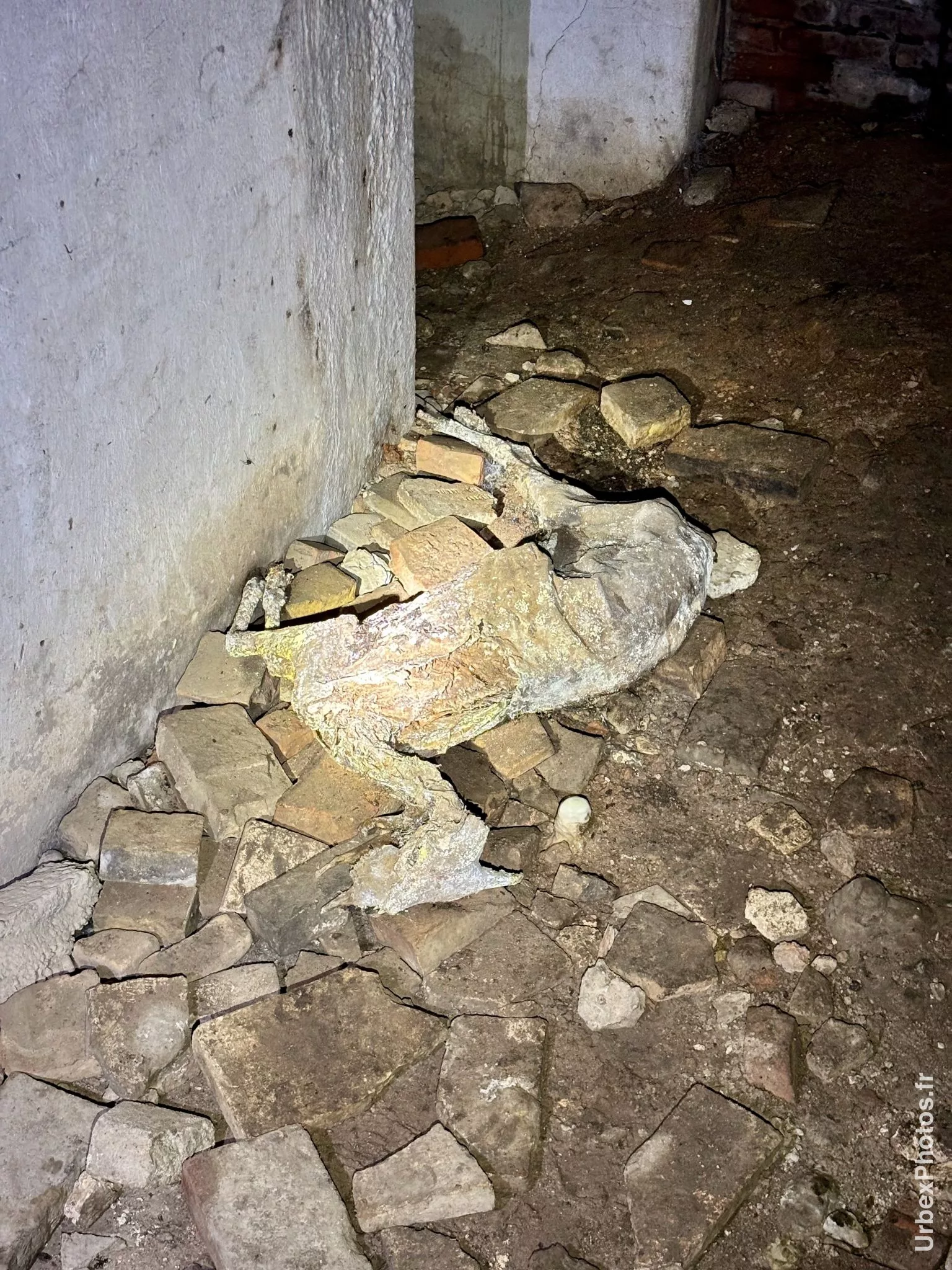 Corps desséché d'un chevreau dans le Fort Orwell