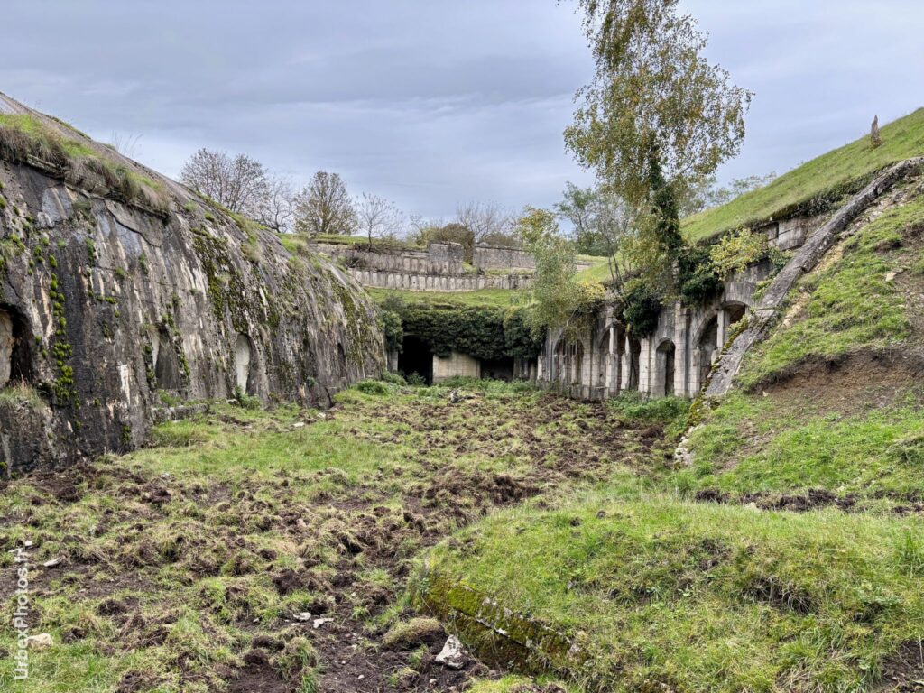 Terrain intérieur du Fort Orwell