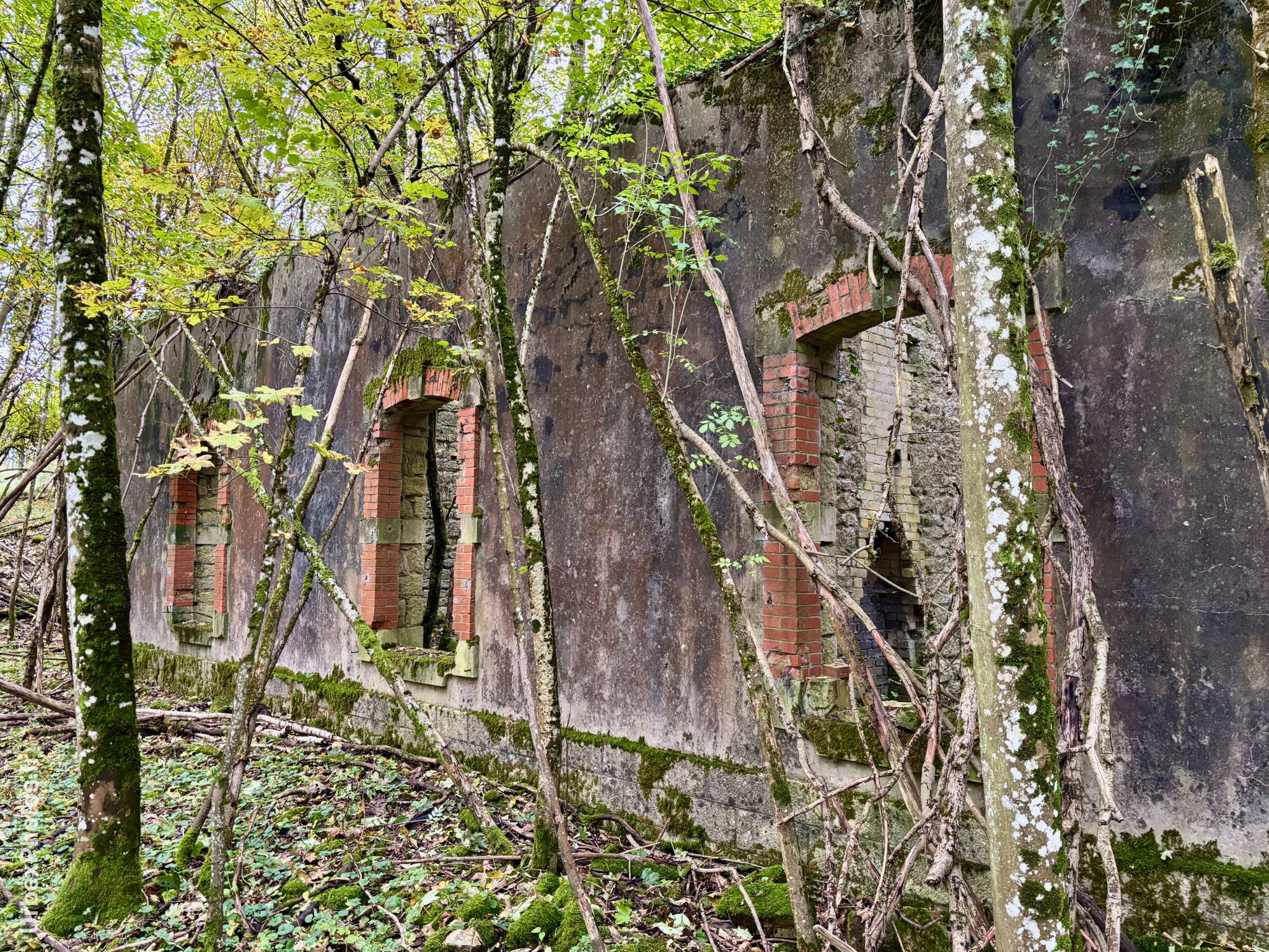 Maison dans le périmètre du Fort Orwell