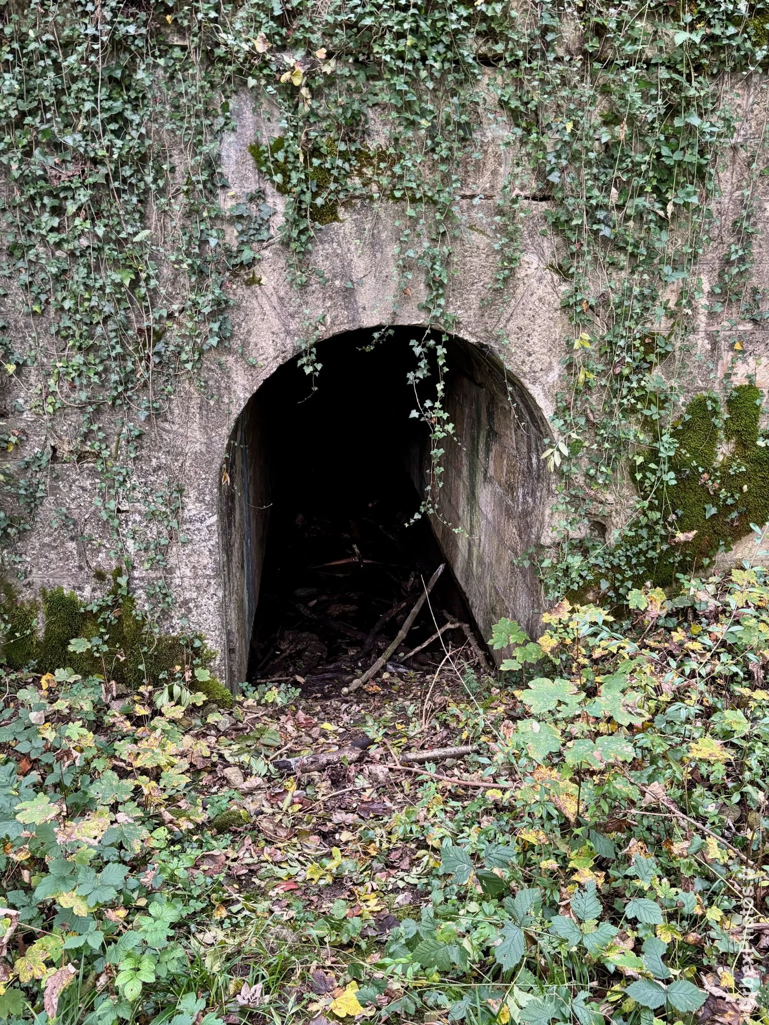 Entrée d'un tunnel