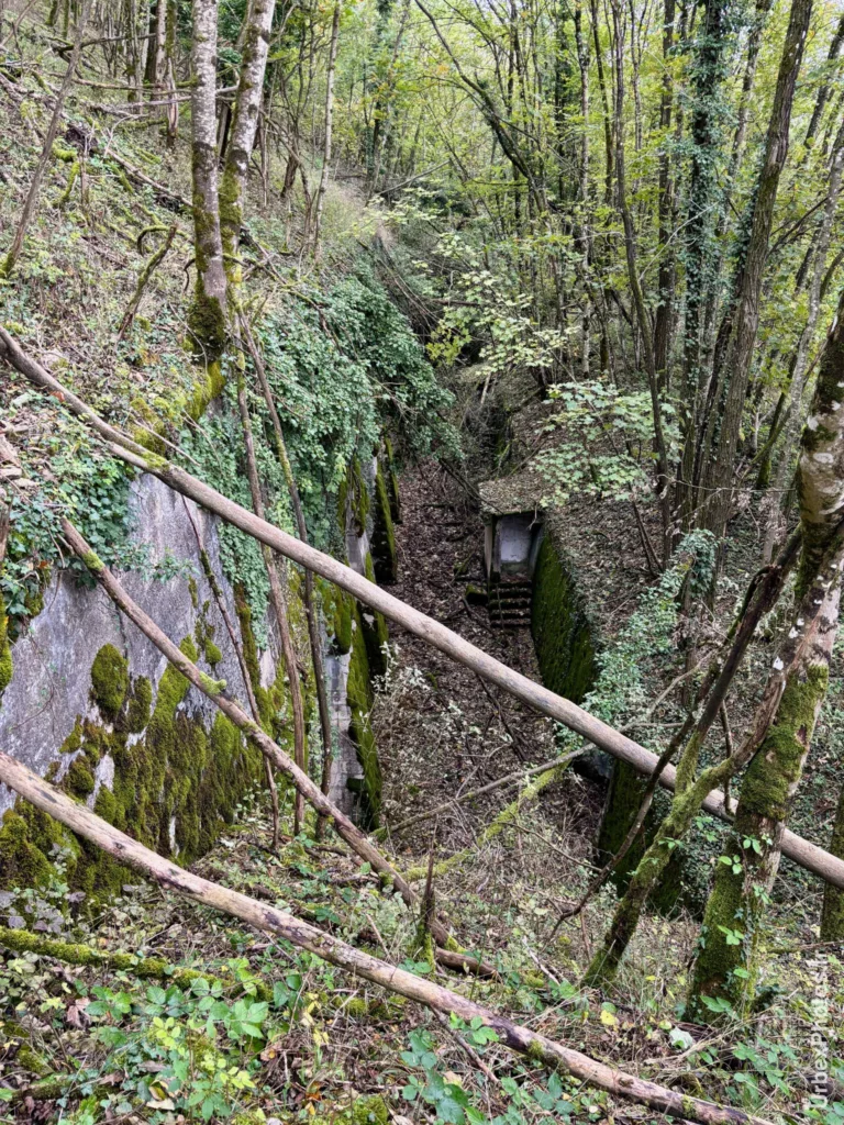 Une fosse d'une casemate du Fort Orwell
