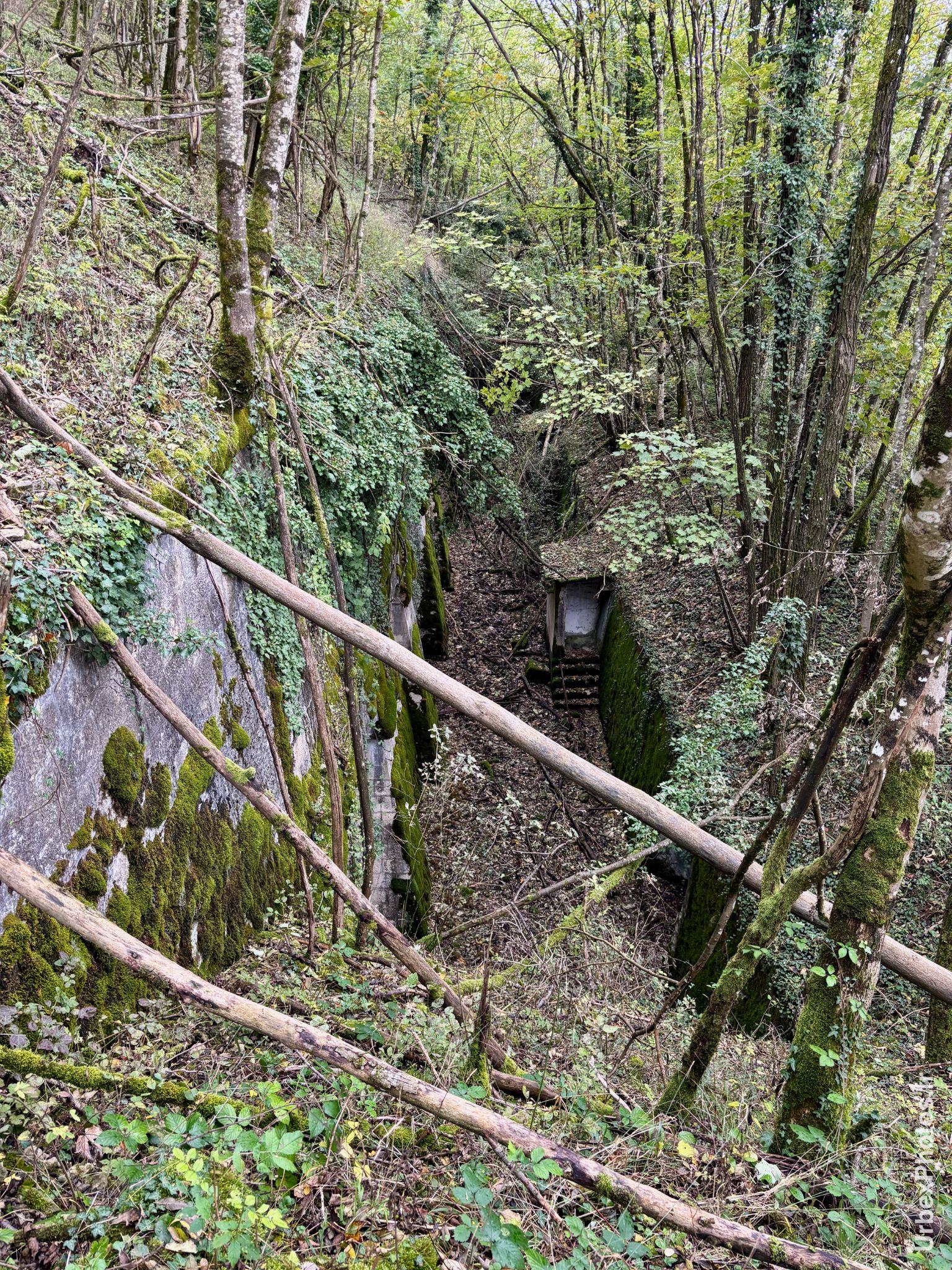 Une fosse d'une casemate du Fort Orwell