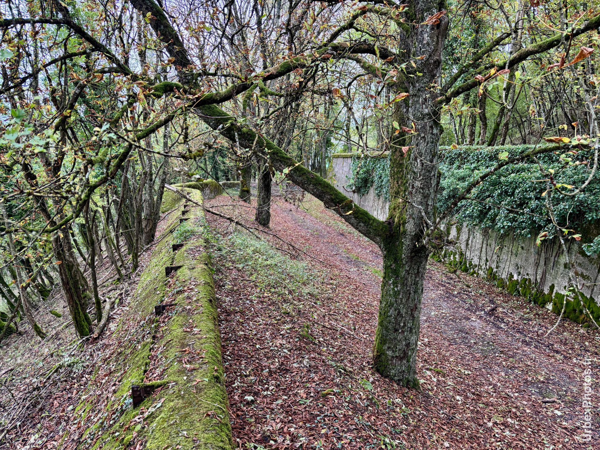 Devant un mur de fortification