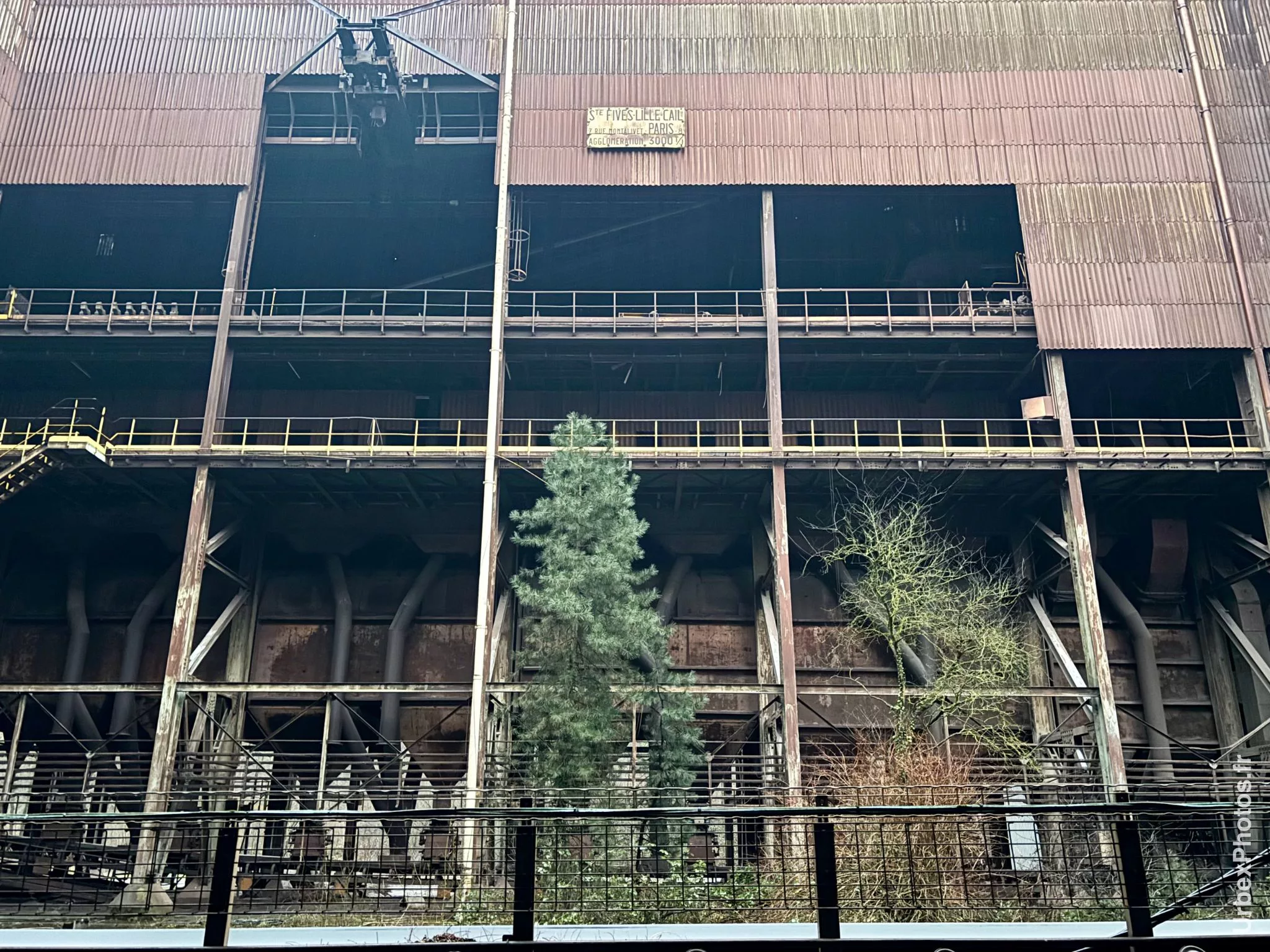 Des arbres devant un bâtiment