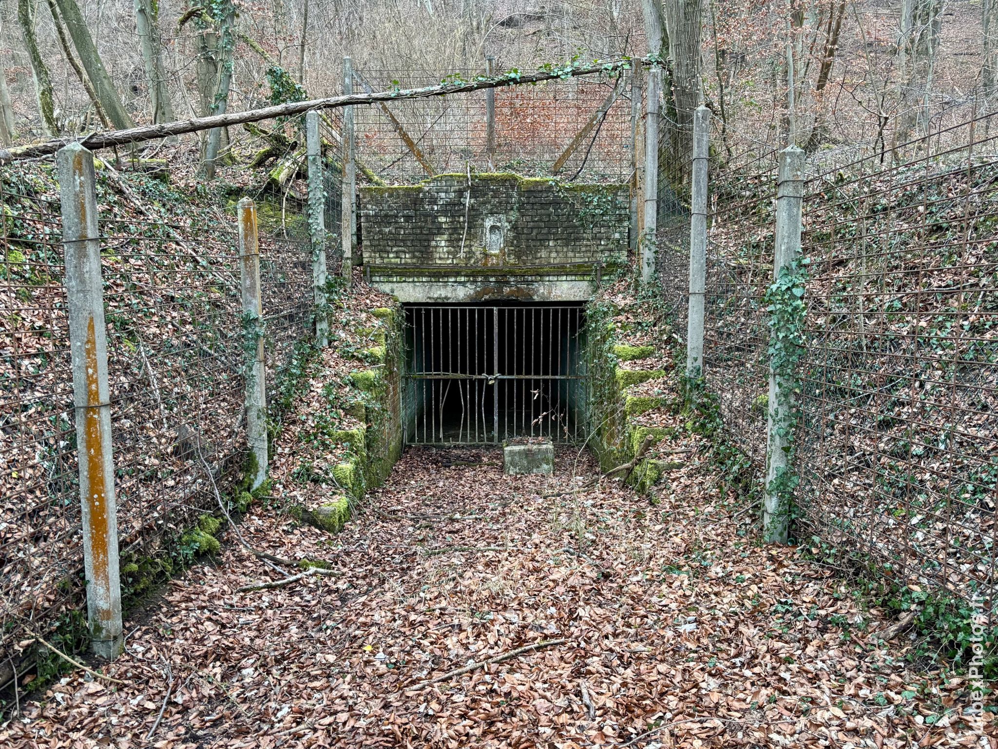 Entrée d'une mine