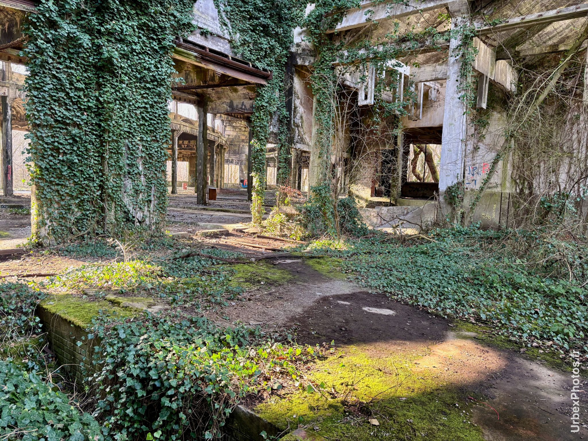 Photo urbex de l'atelier du Dépôt Commando en Lorraine