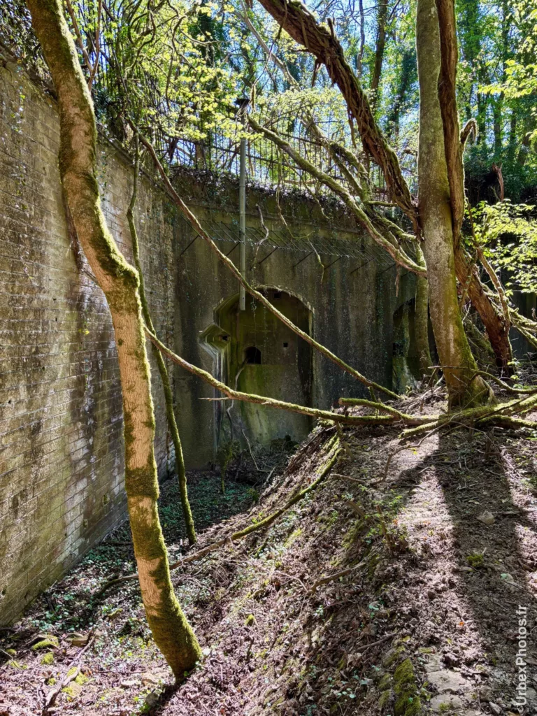 Photo urbex du fossé du Fort Nago en Lorraine