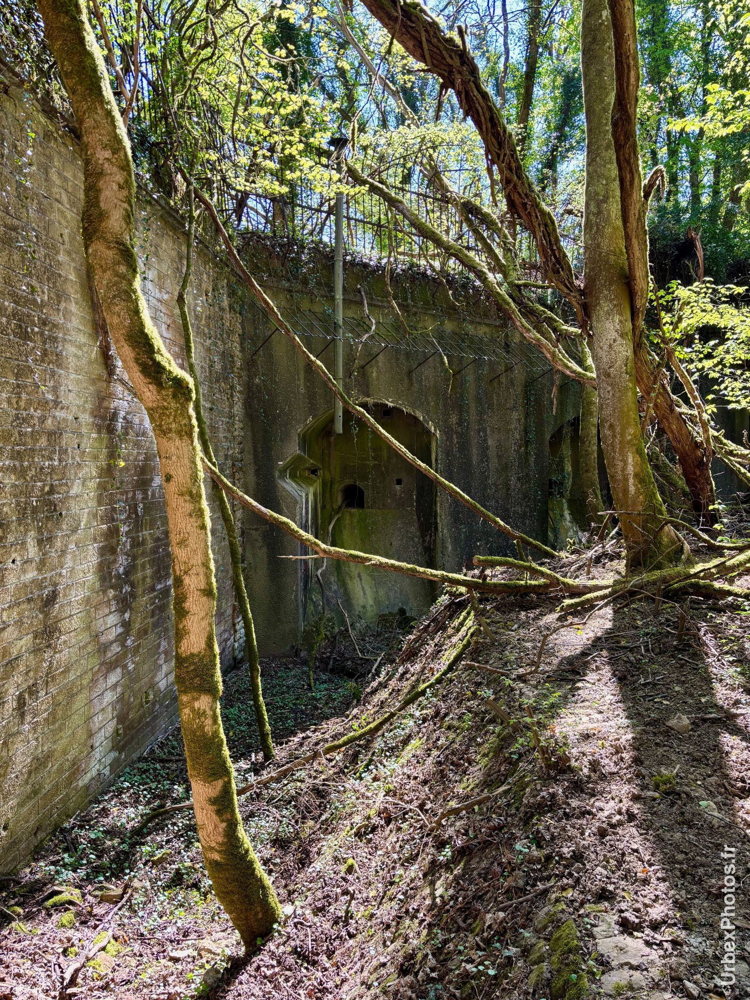 Photo urbex du fossé du Fort Nago en Lorraine