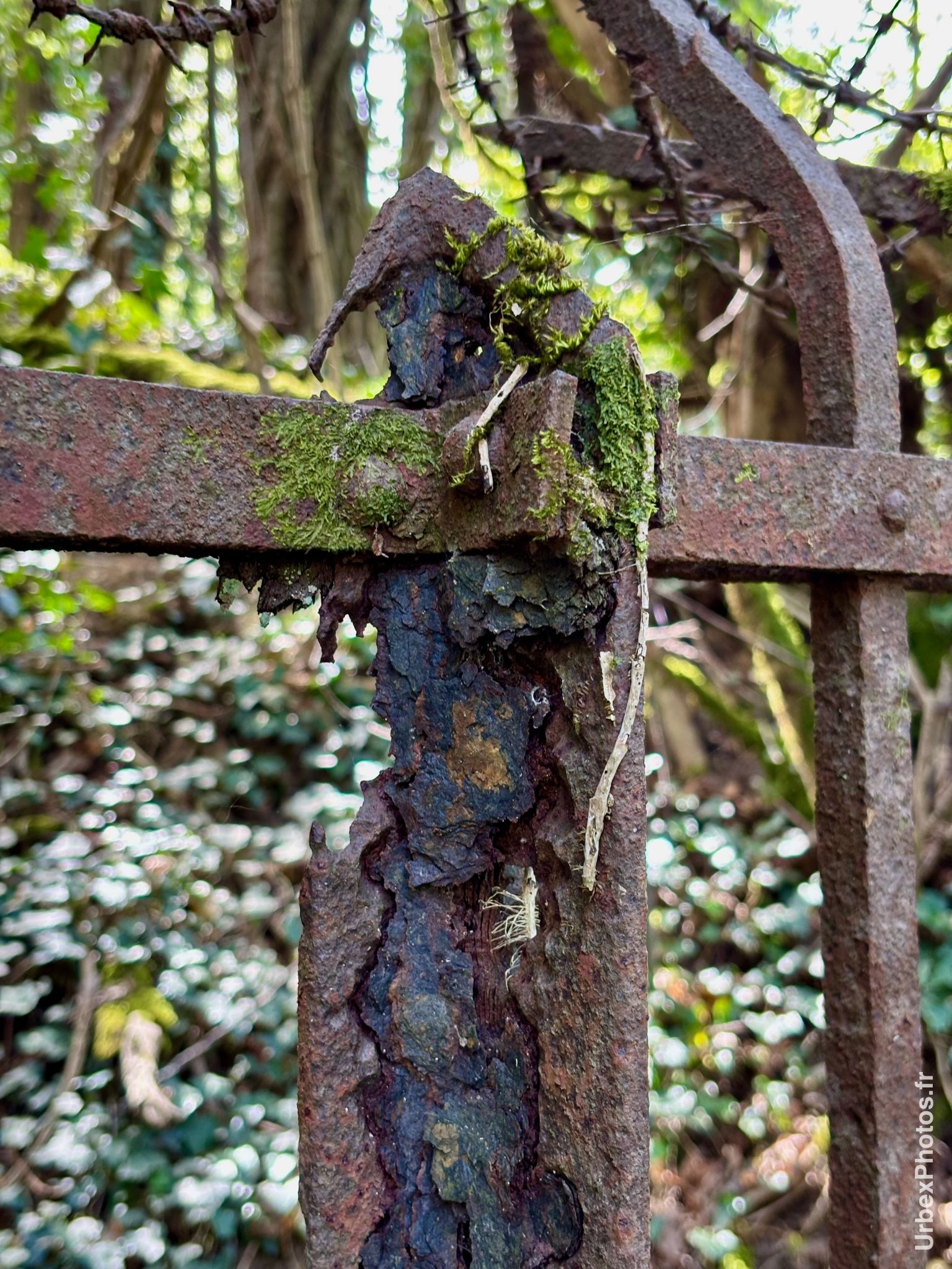 Photo urbex de la grille corrodée du Fort Nago en Lorraine