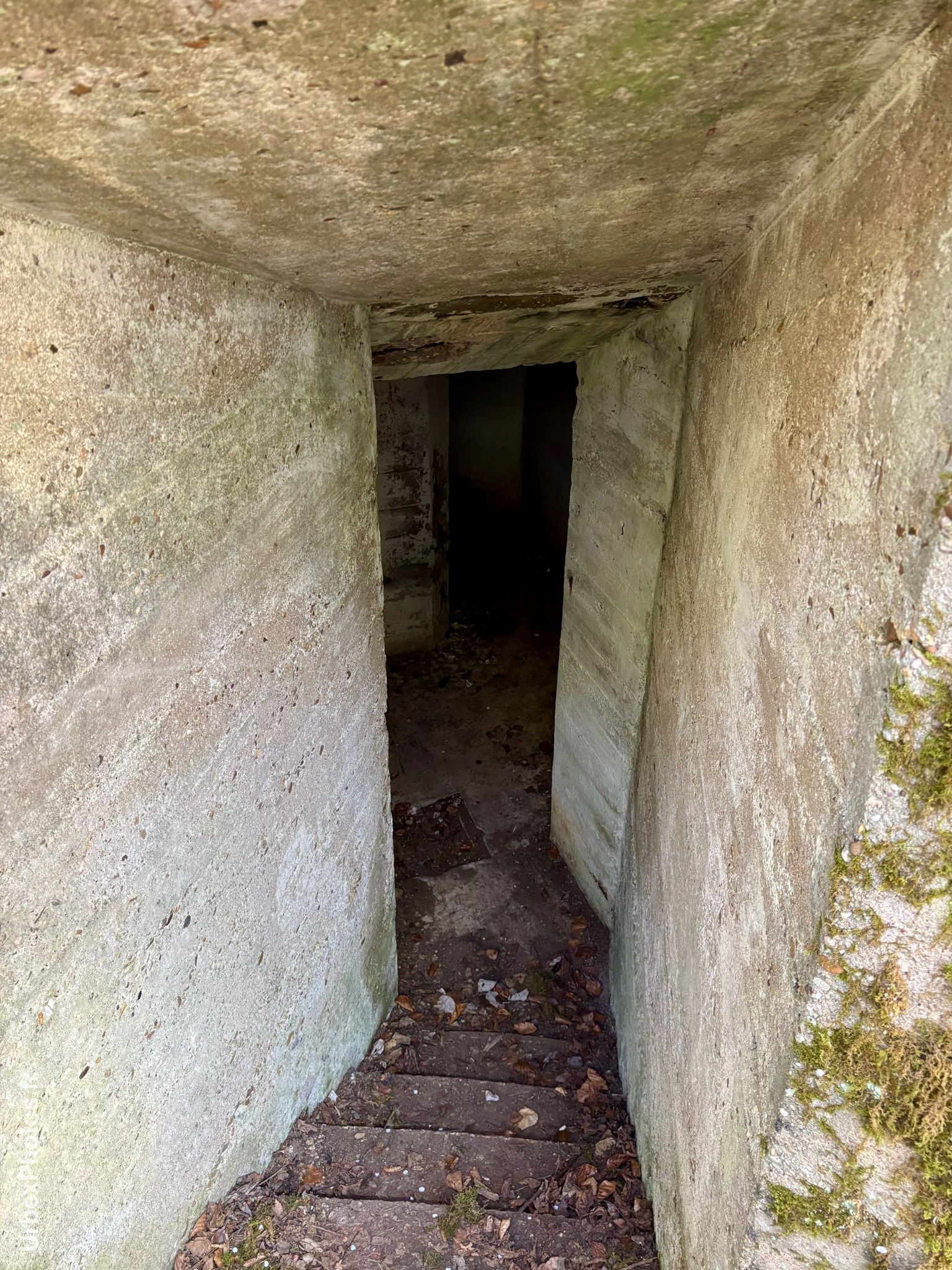 Une entrée de l'ouvrage Grauer Bär