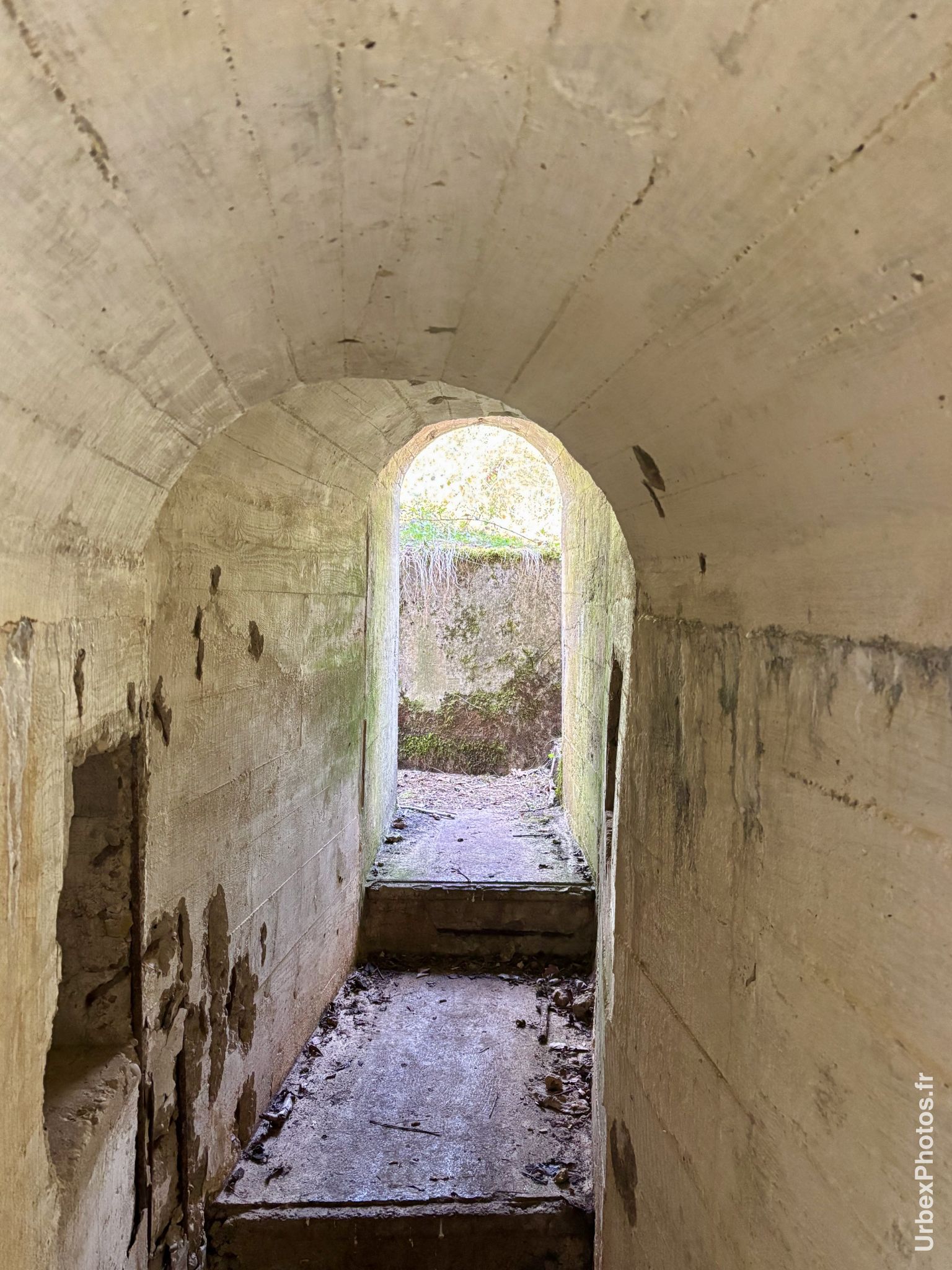 Une entrée de l'ouvrage Grauer Bär