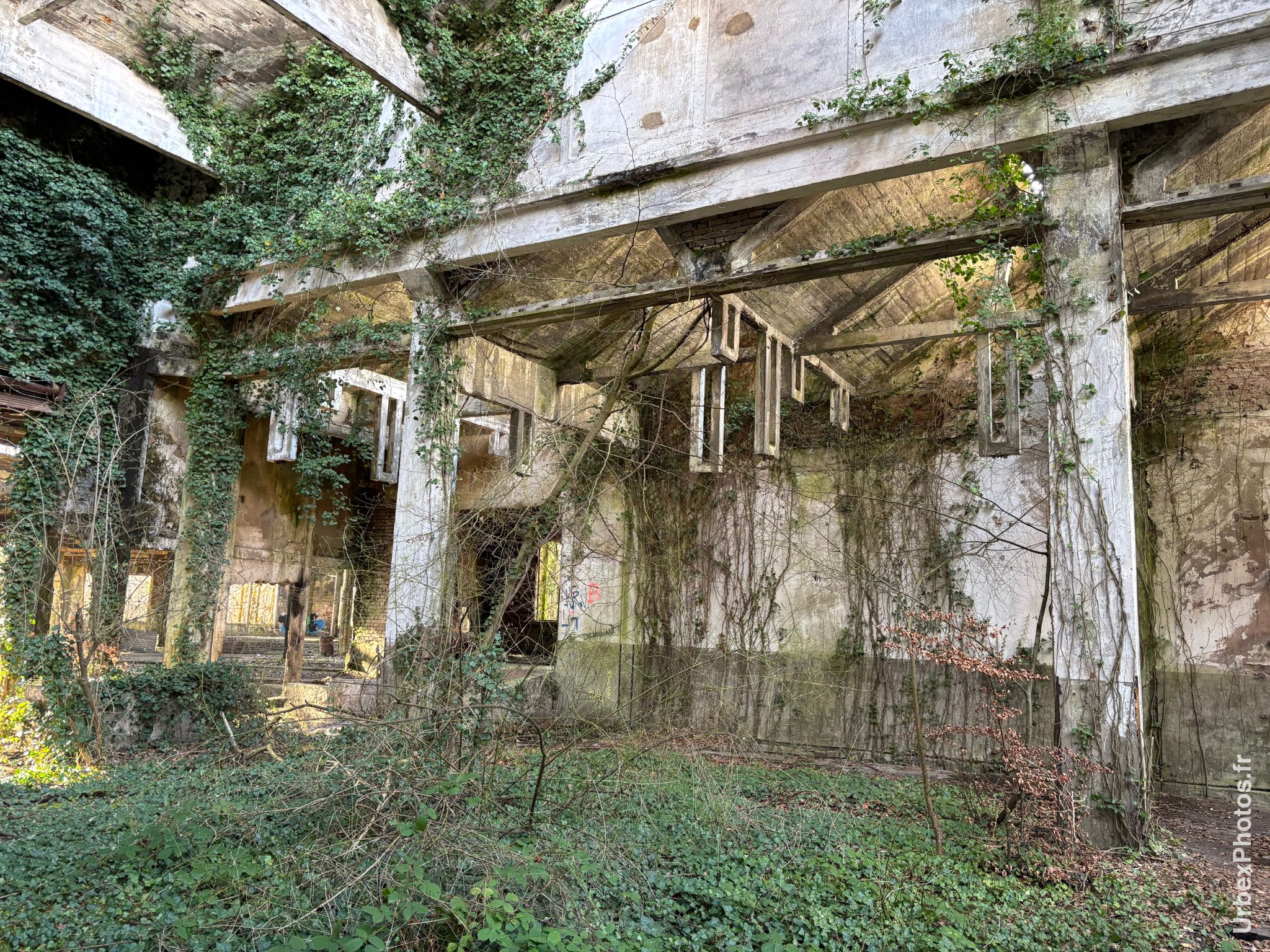 Salle du Dépôt Commando