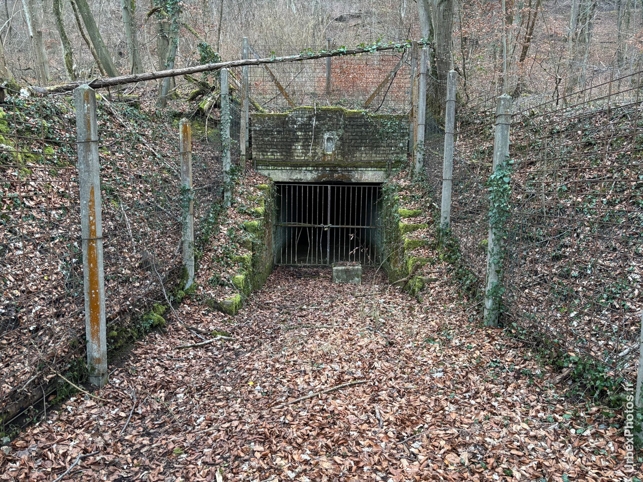 Photo urbex de l'entrée d'une grotte