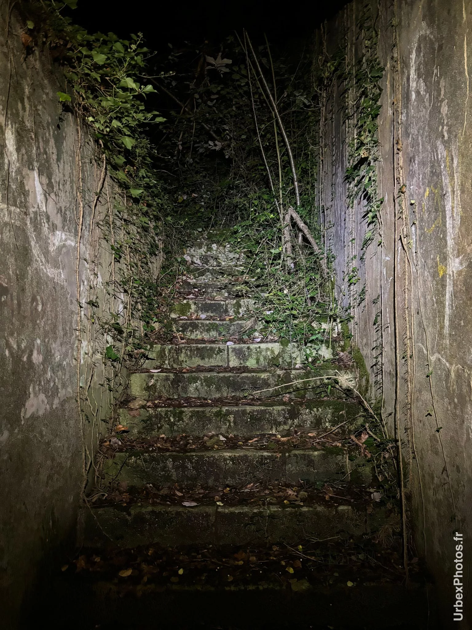 Escalier d'accès au Fort Fischer