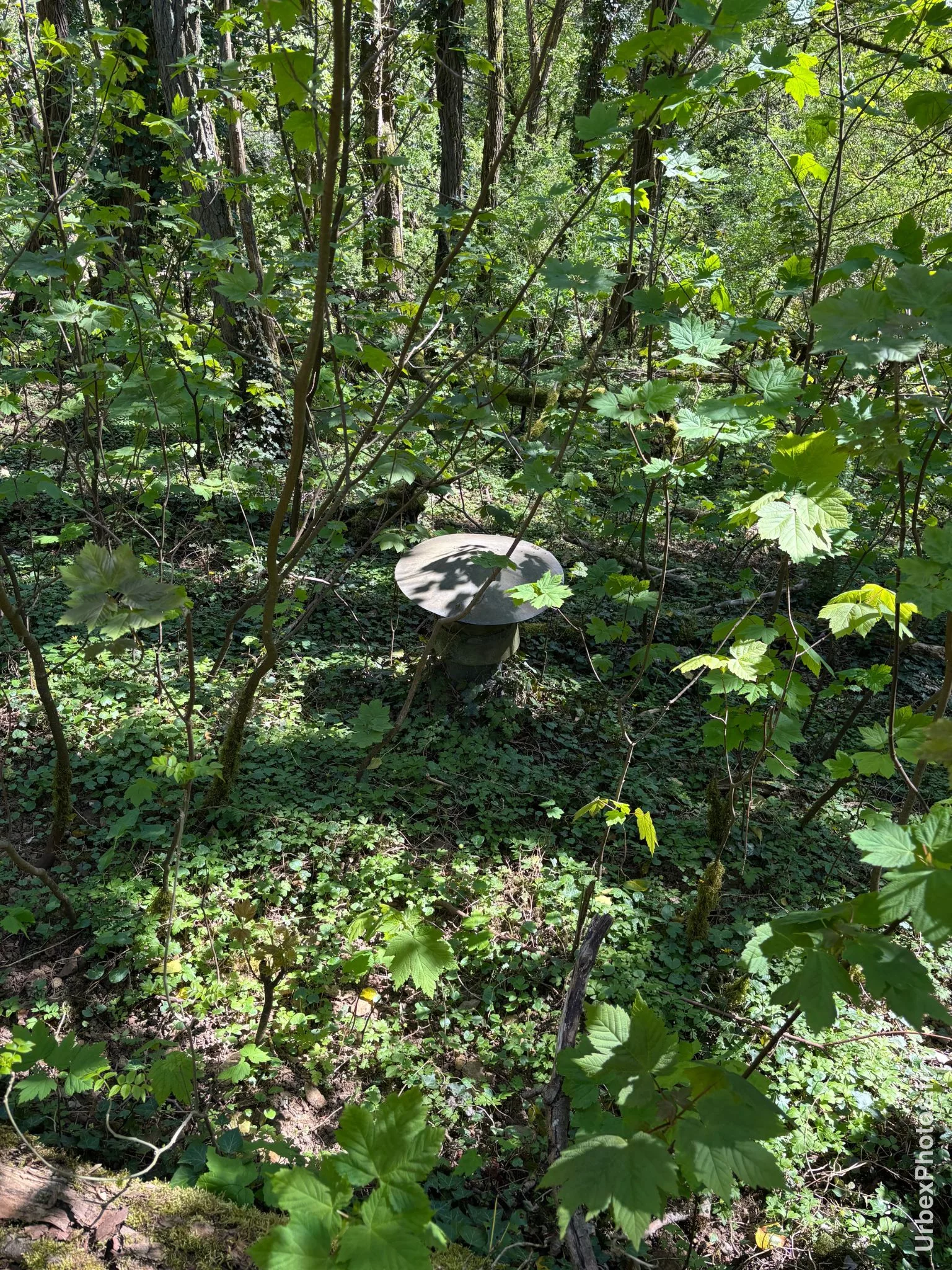 Cheminée du Fort Nago