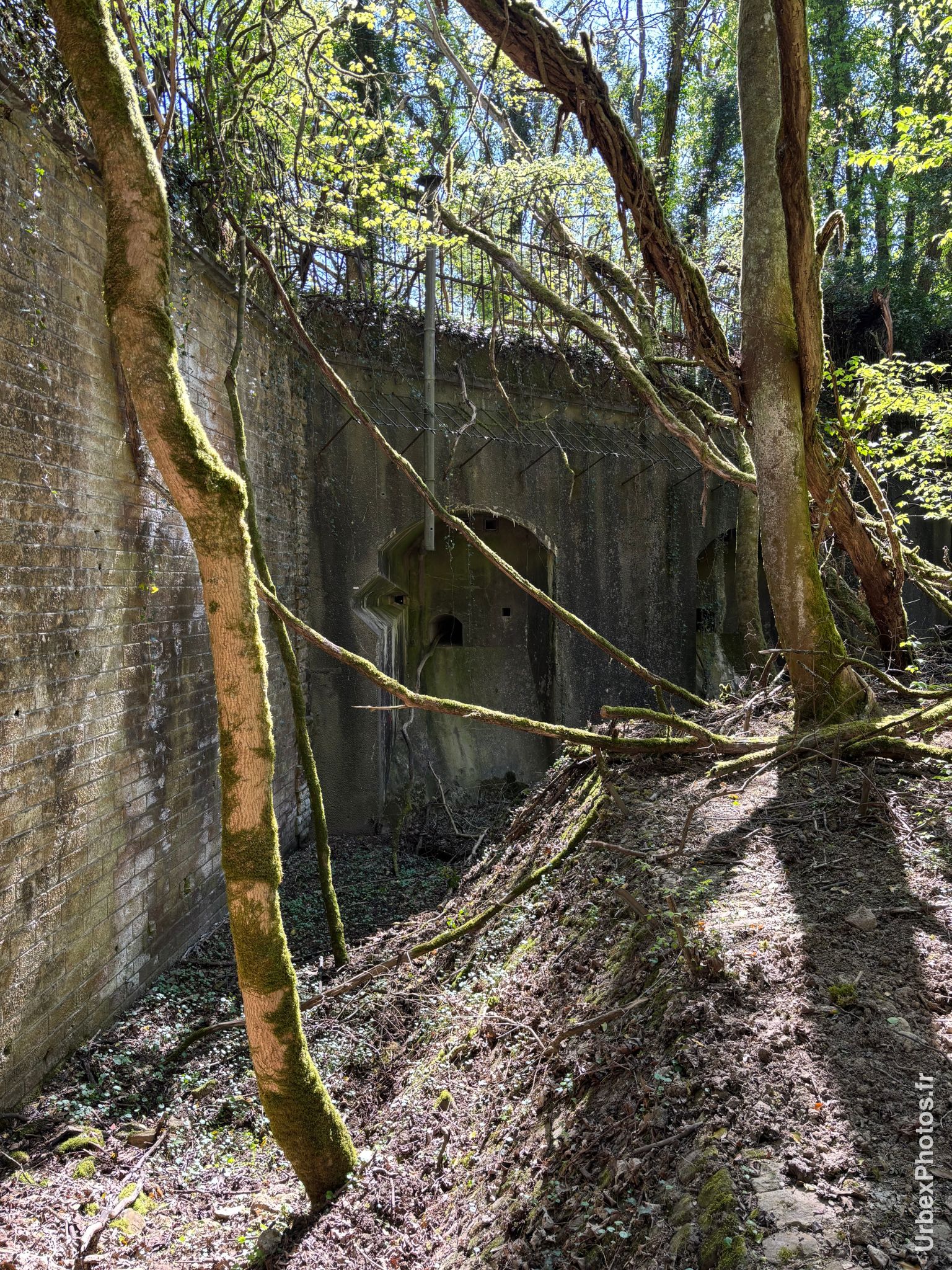 Fossé du Fort Nago