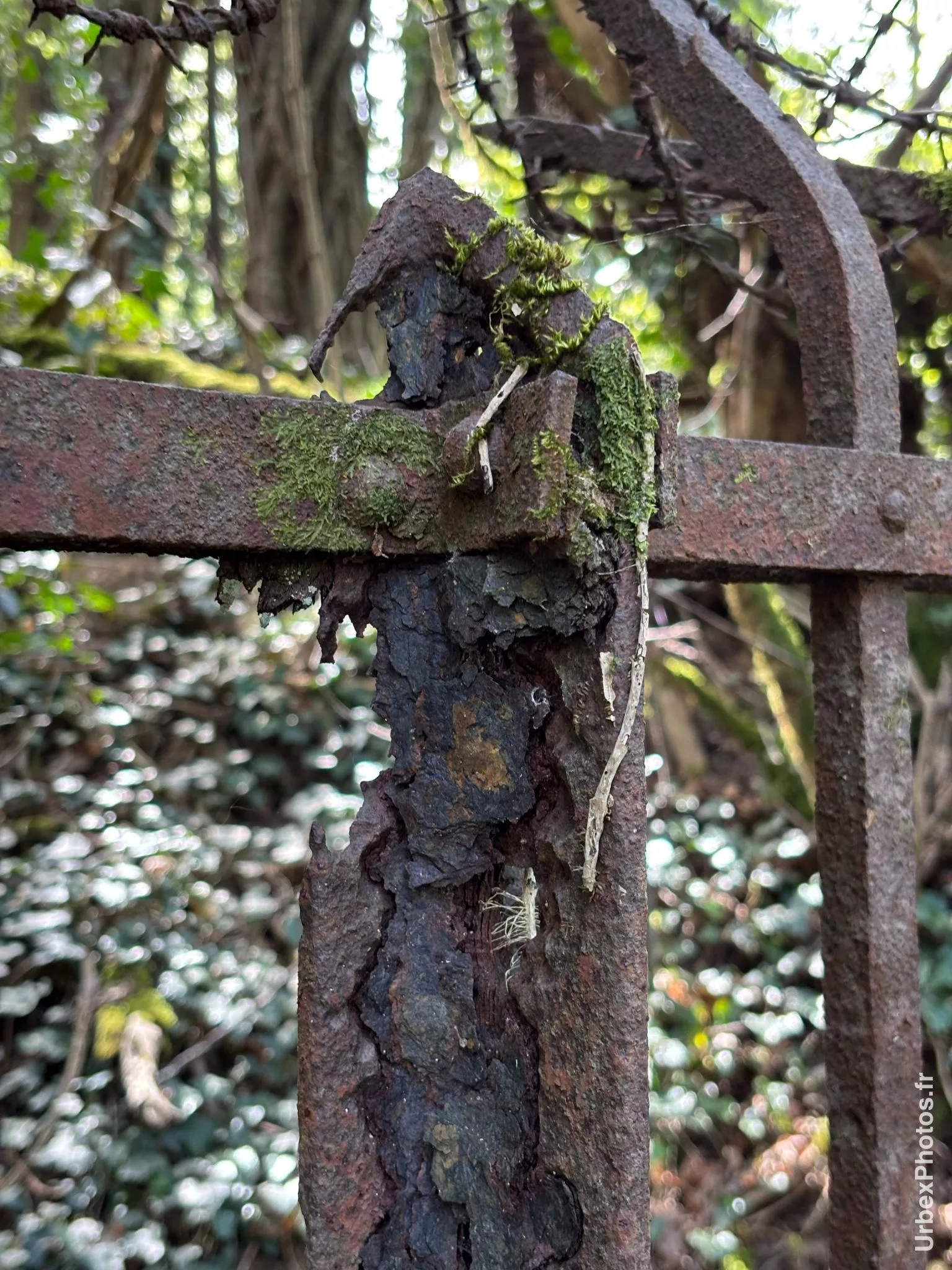 Grille corrodée du Fort Nago