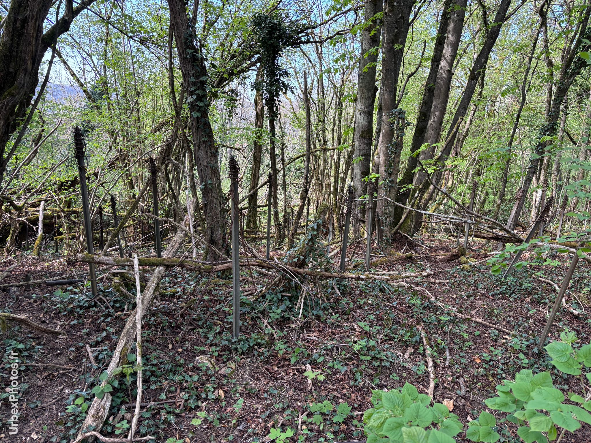 Photo urbex de piquets barbelés