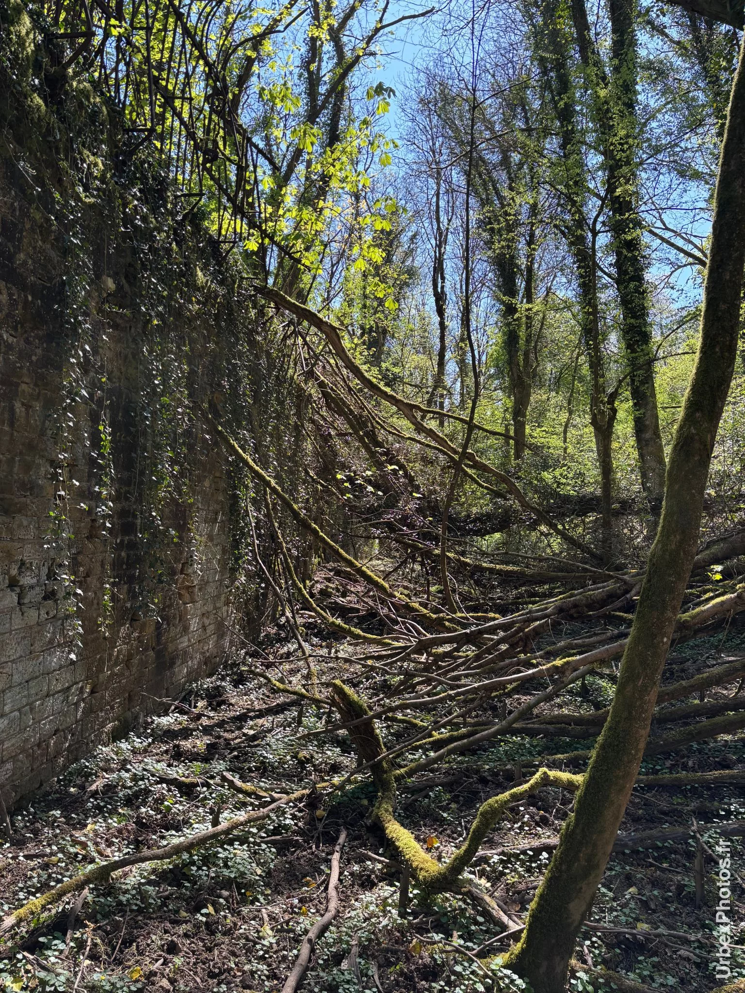 Fossé du Fort Nago