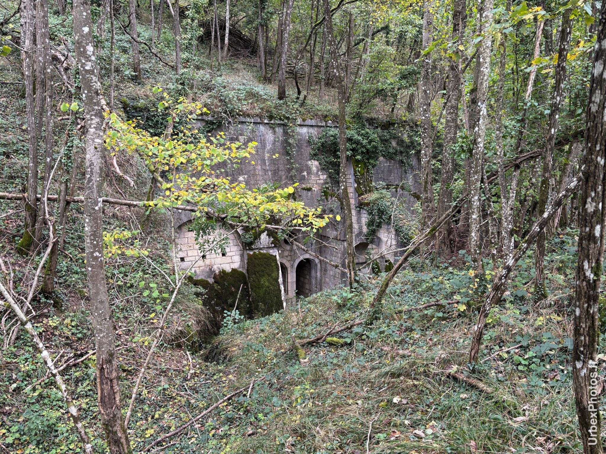 Découverte d'une casemate du Fort Orwell en pleine forêt