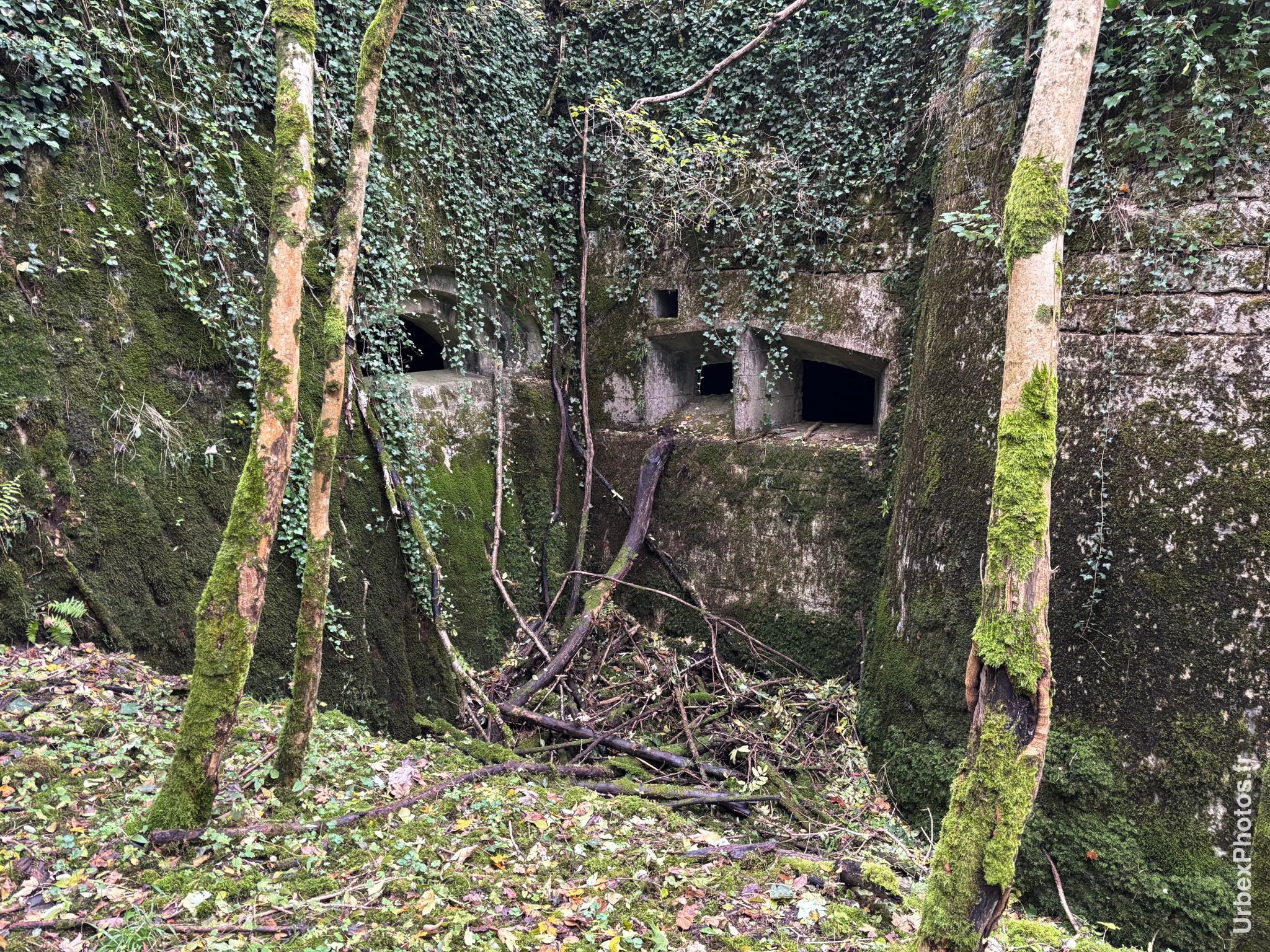 Des créneaux dans les fortifications