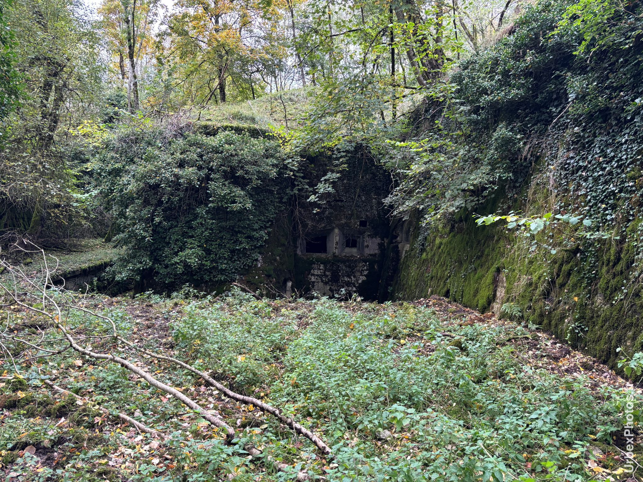 Des créneaux dans les fortifications