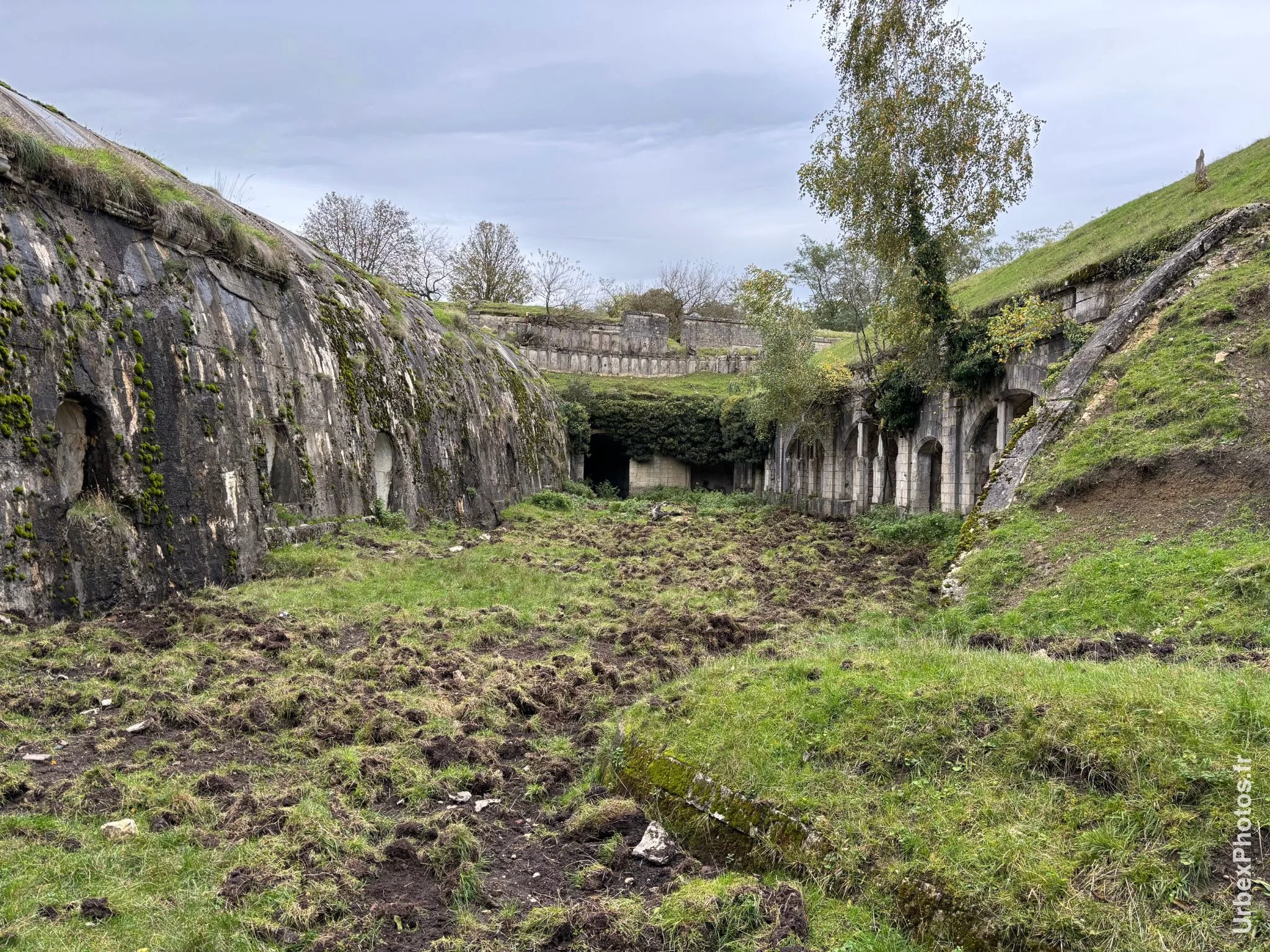 Terrain intérieur du Fort Orwell