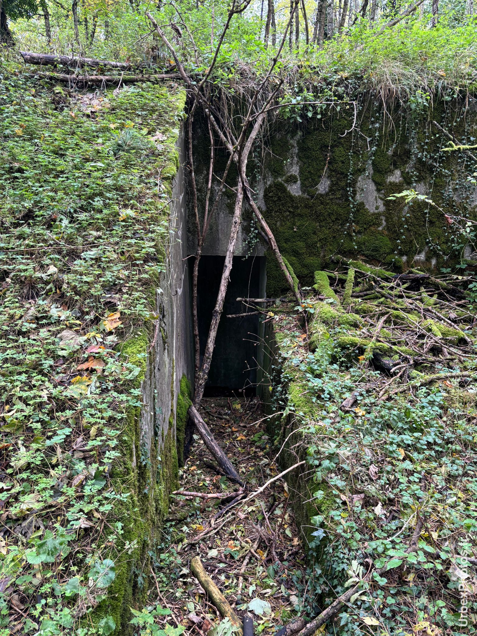 Une entrée dans un mur de fortification