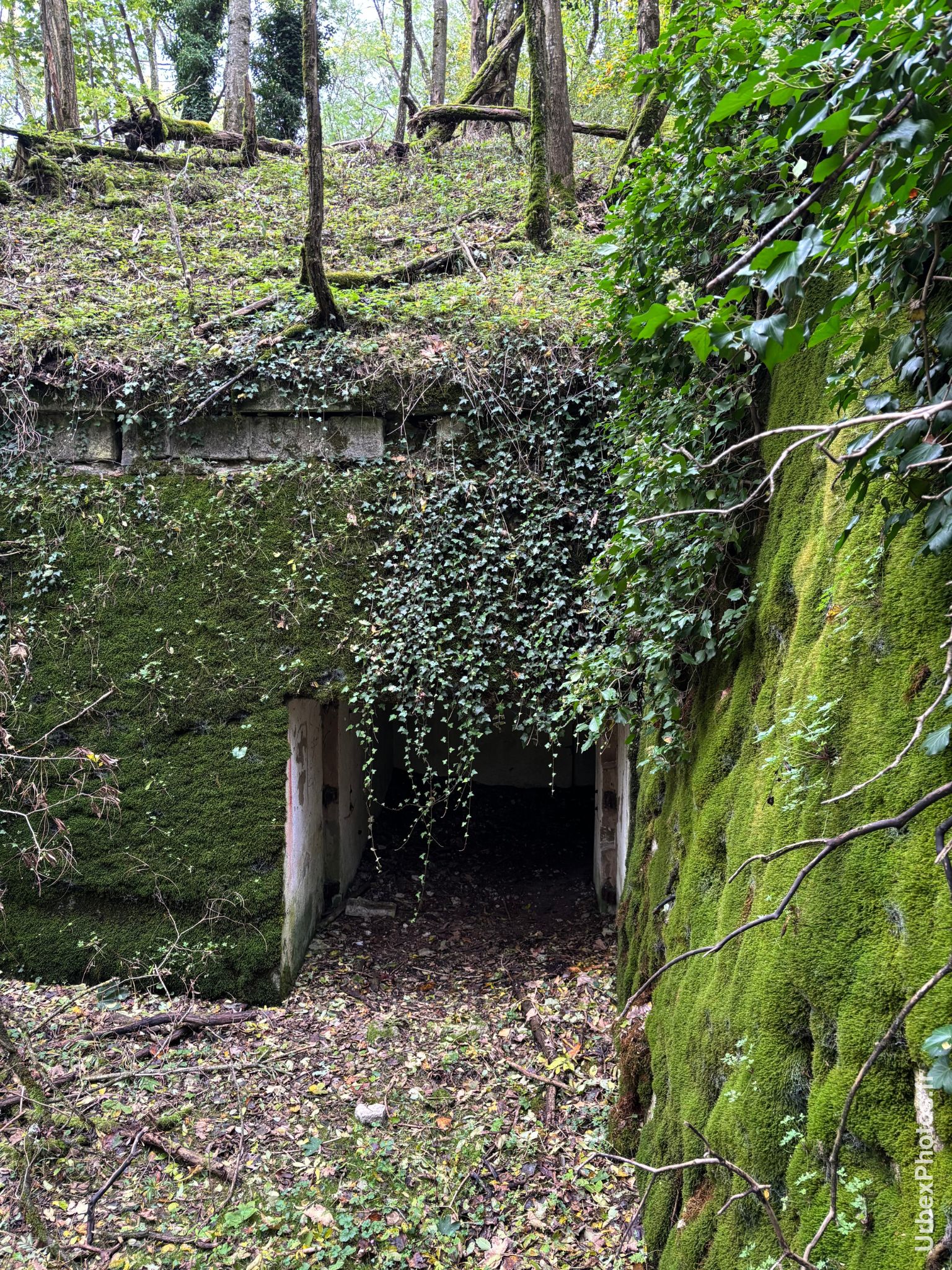 Une entrée dans un mur de fortification