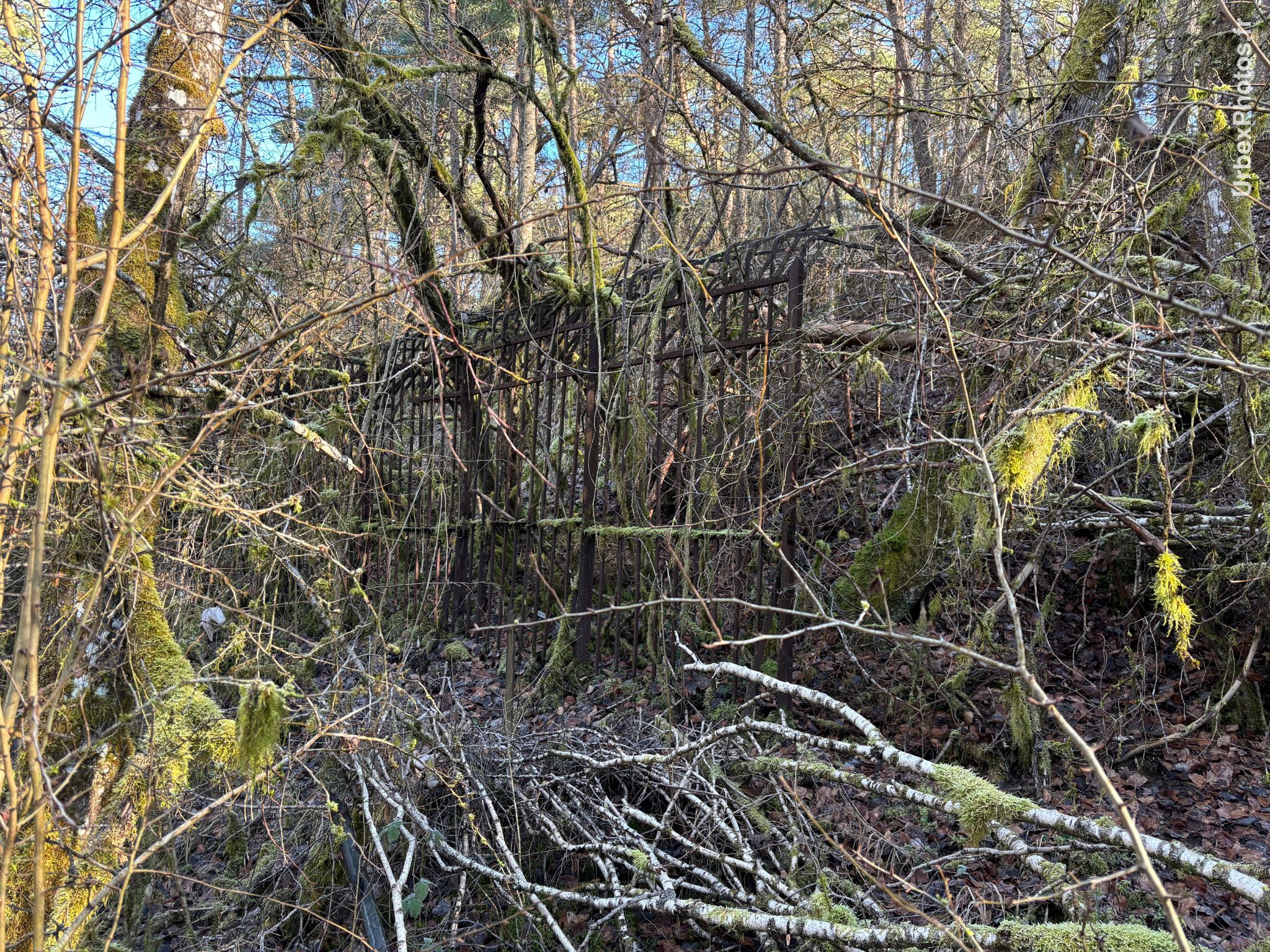 Grille du Fort Schneider