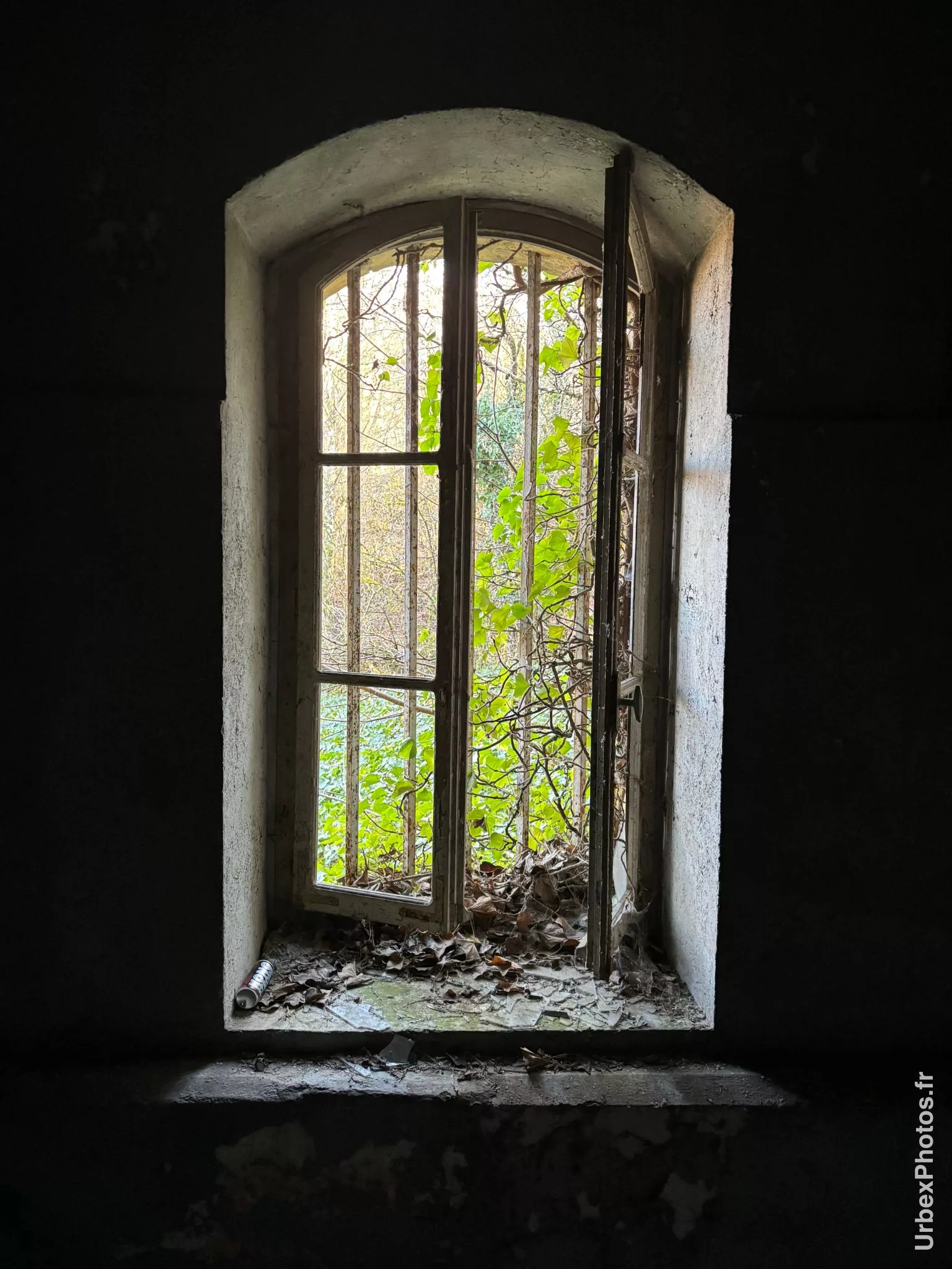 Fenêtre du Fort Schneider