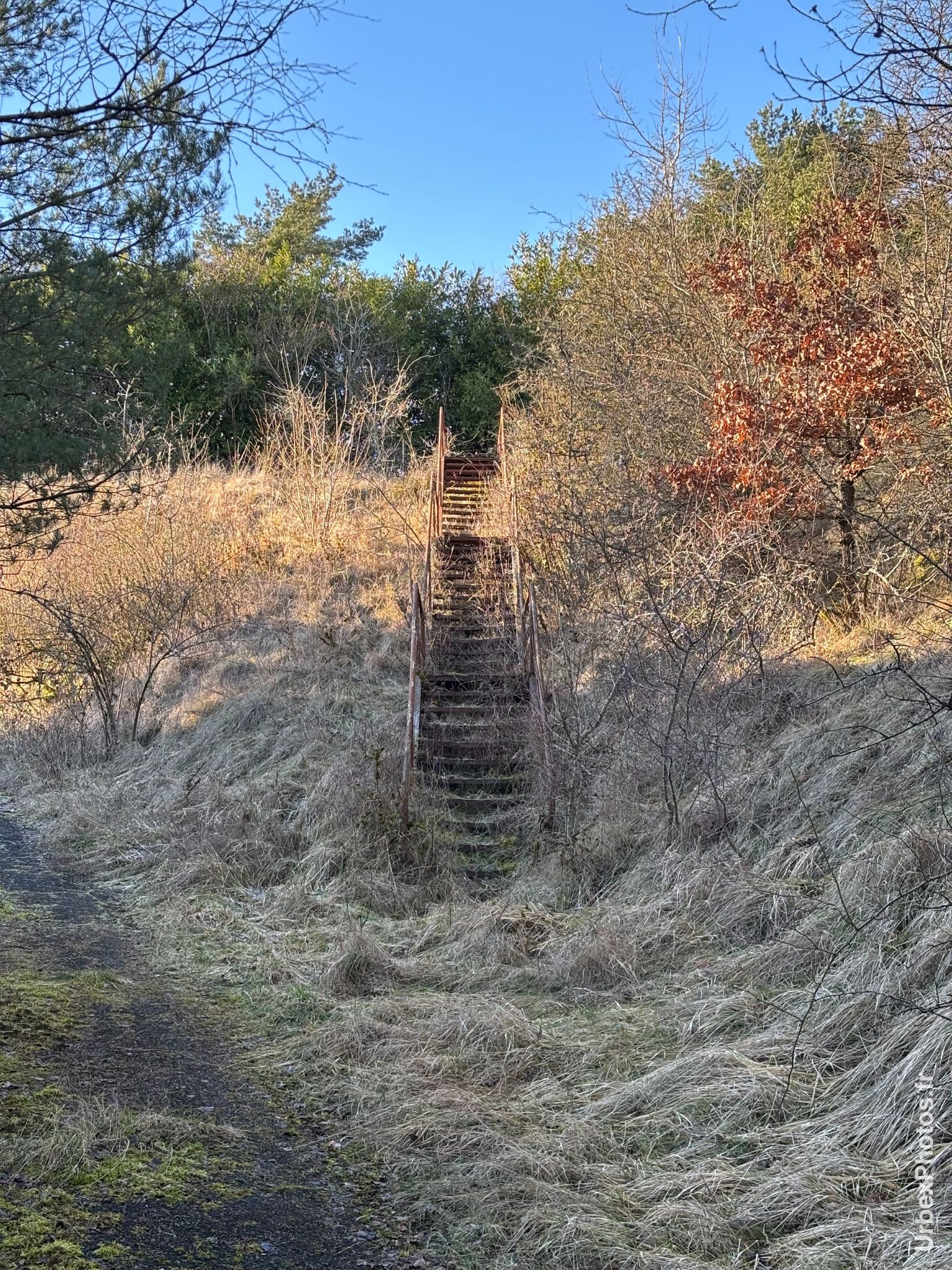 Photo urbex d'un escalier parmi la végétation