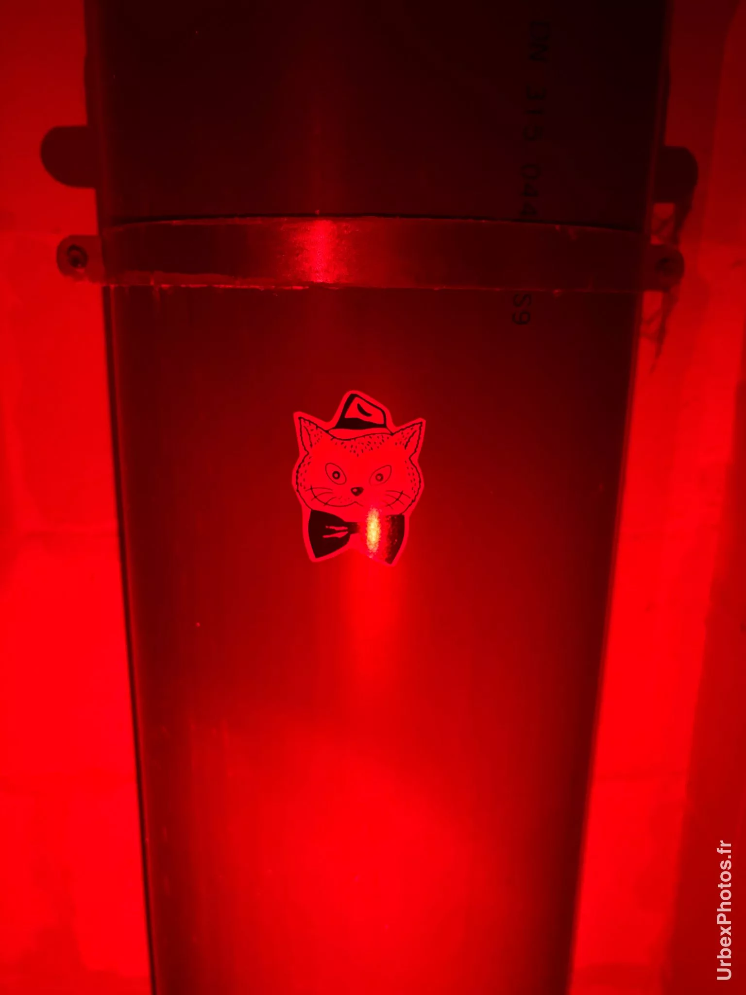 Photo urbex du Chat Potté