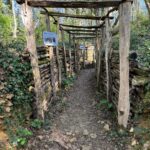 Une entrée de l'ouvrage Grauer Bär