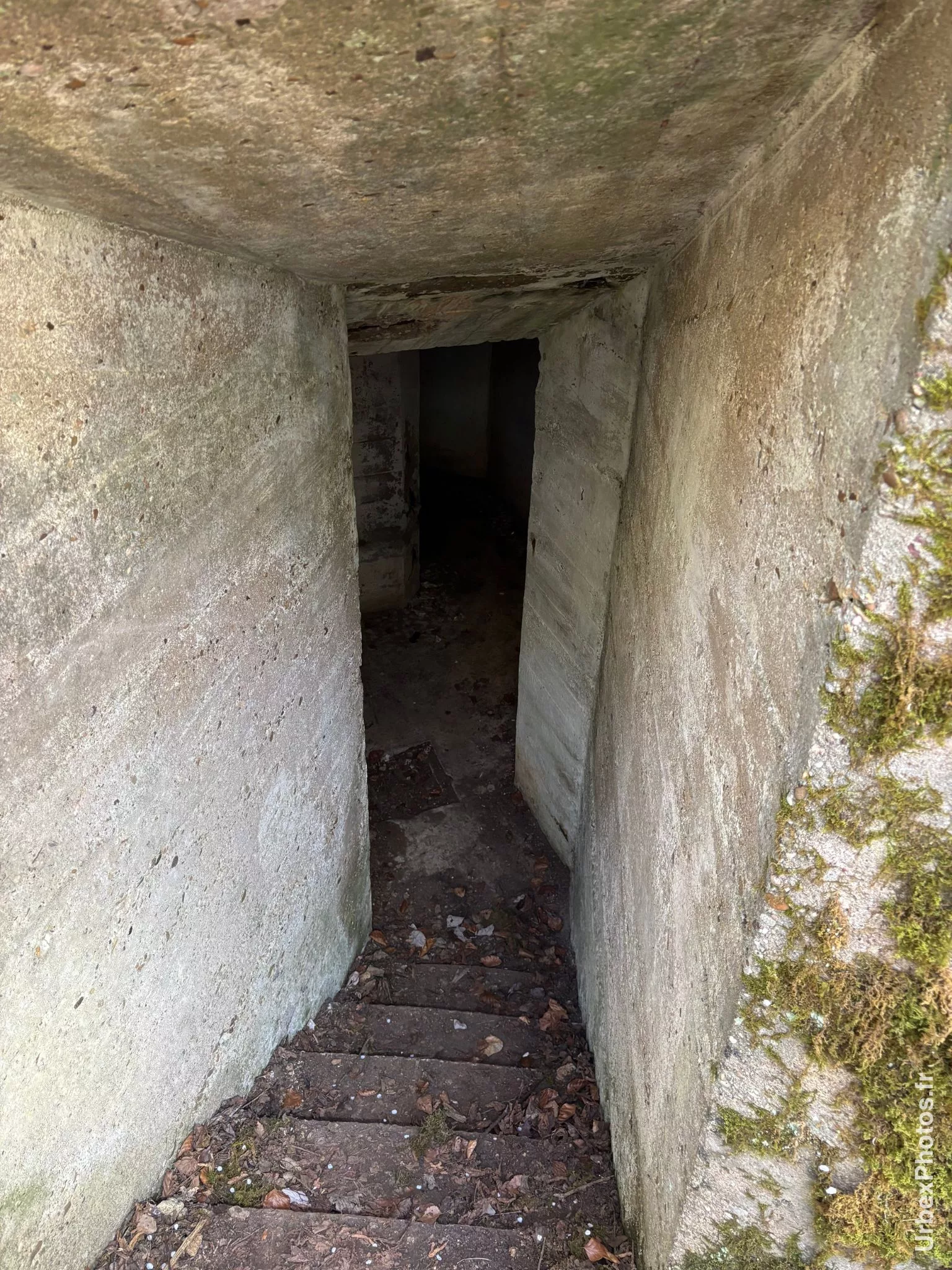 Une entrée de l'ouvrage Grauer Bär