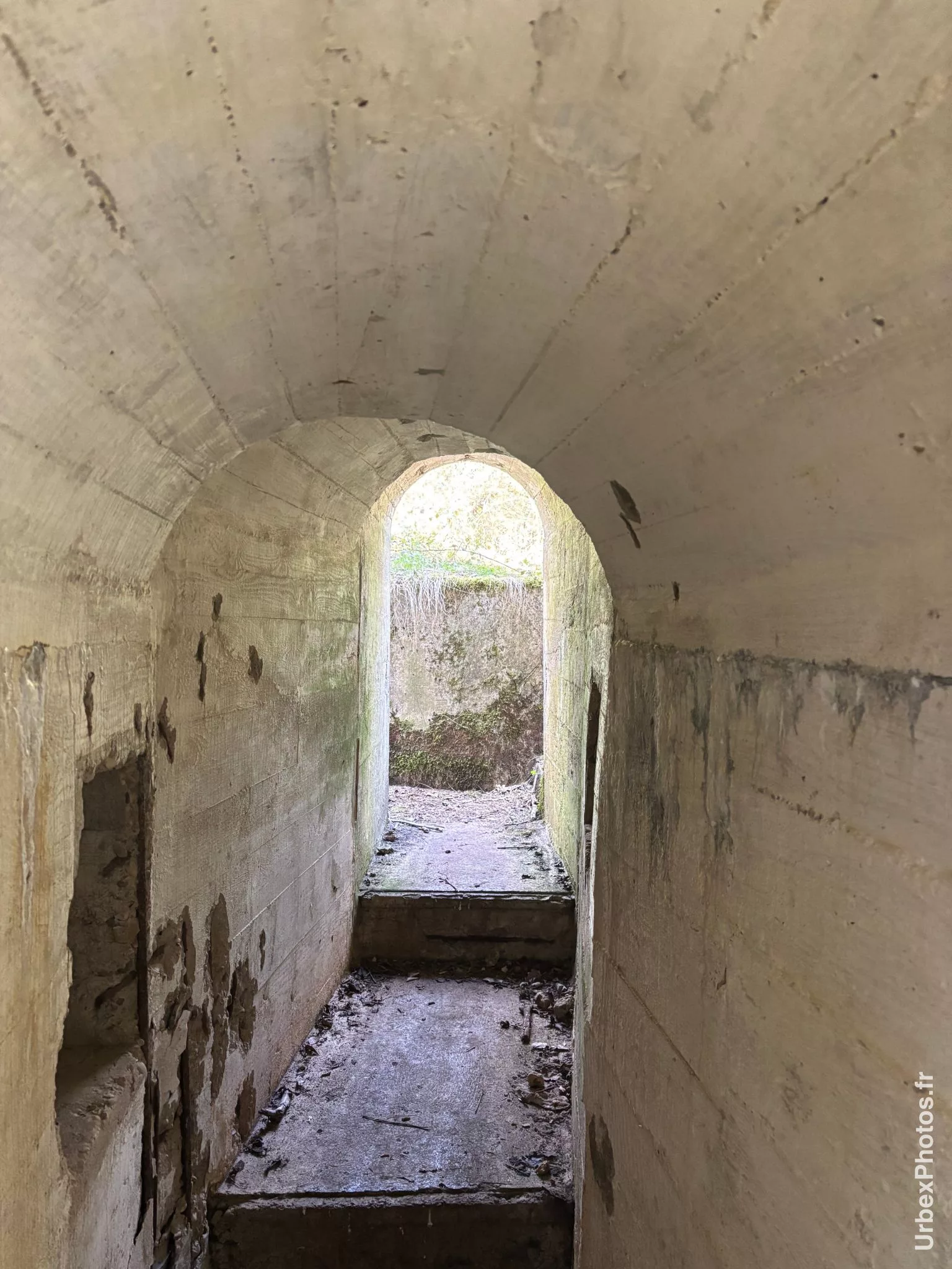 Une entrée de l'ouvrage Grauer Bär