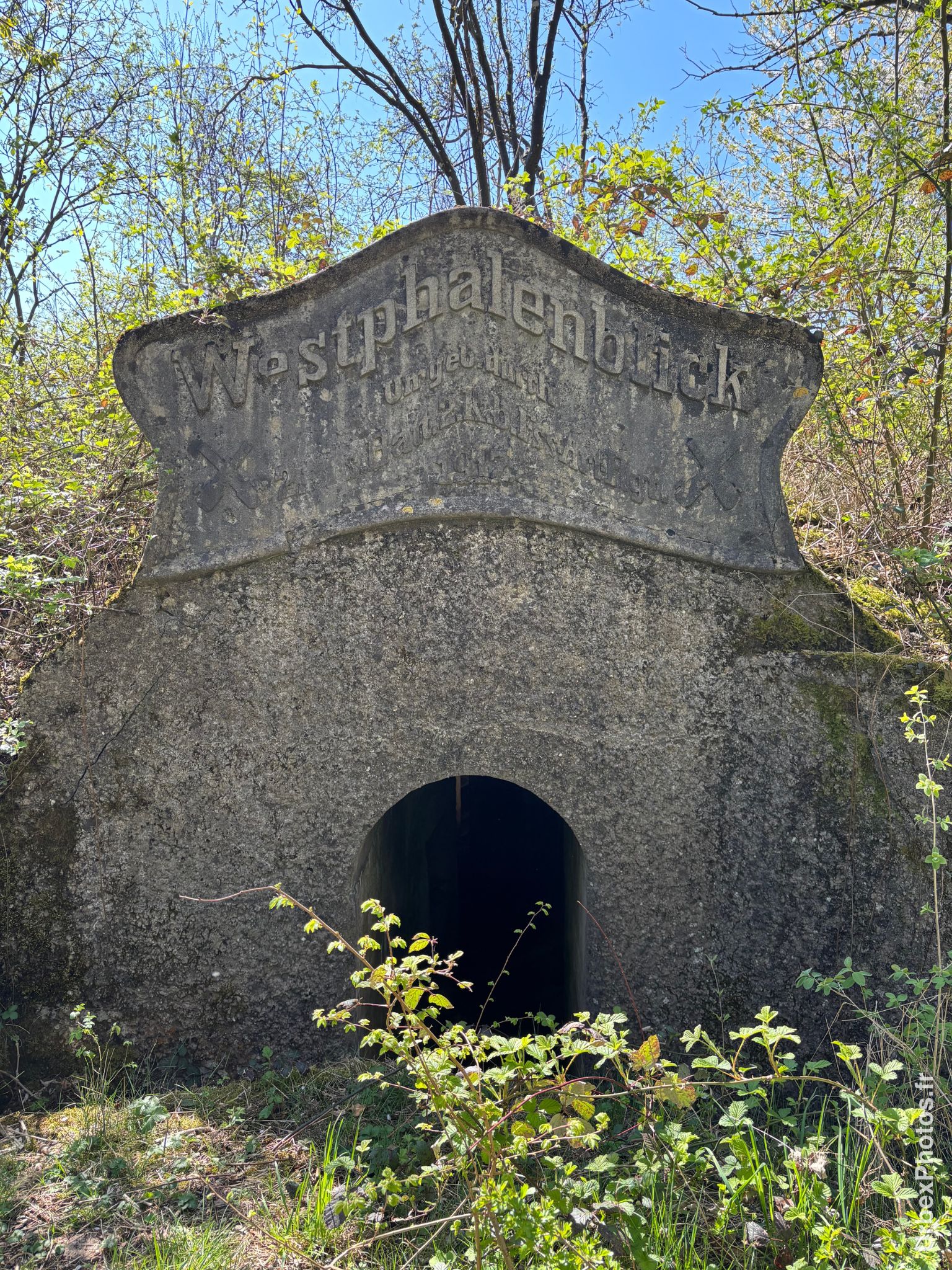 Inscription d'identification de l'ouvrage Grauer Bär