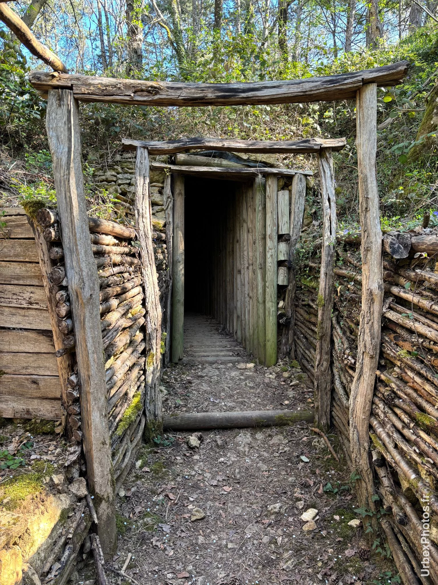 Une entrée de l'ouvrage Grauer Bär