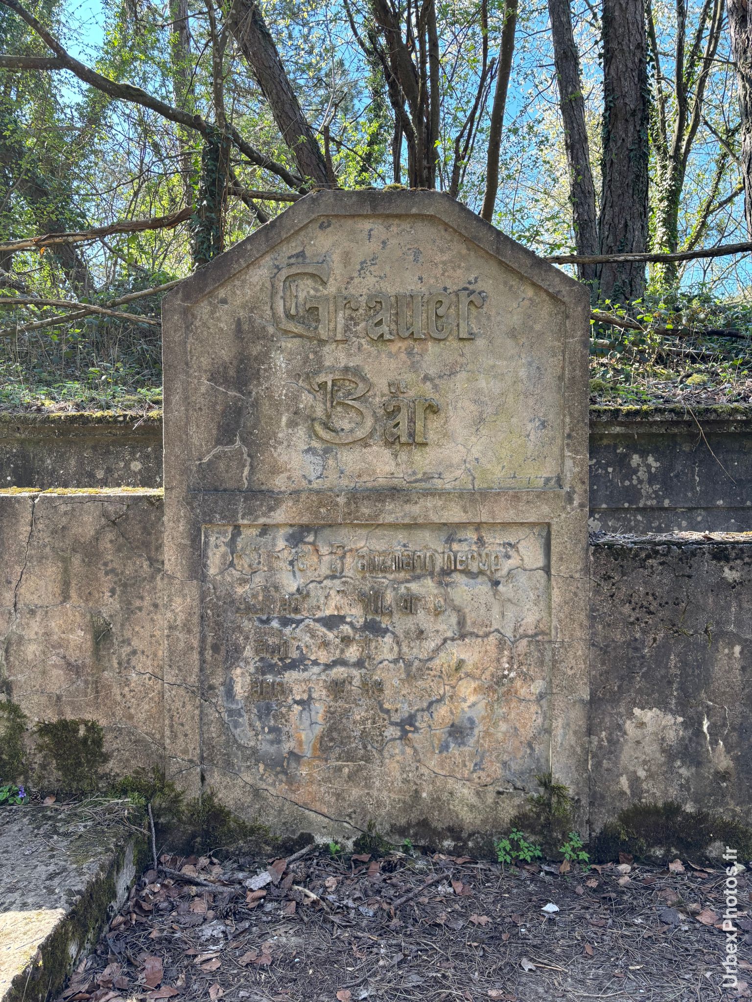 Inscription d'identification de l'ouvrage Grauer Bär