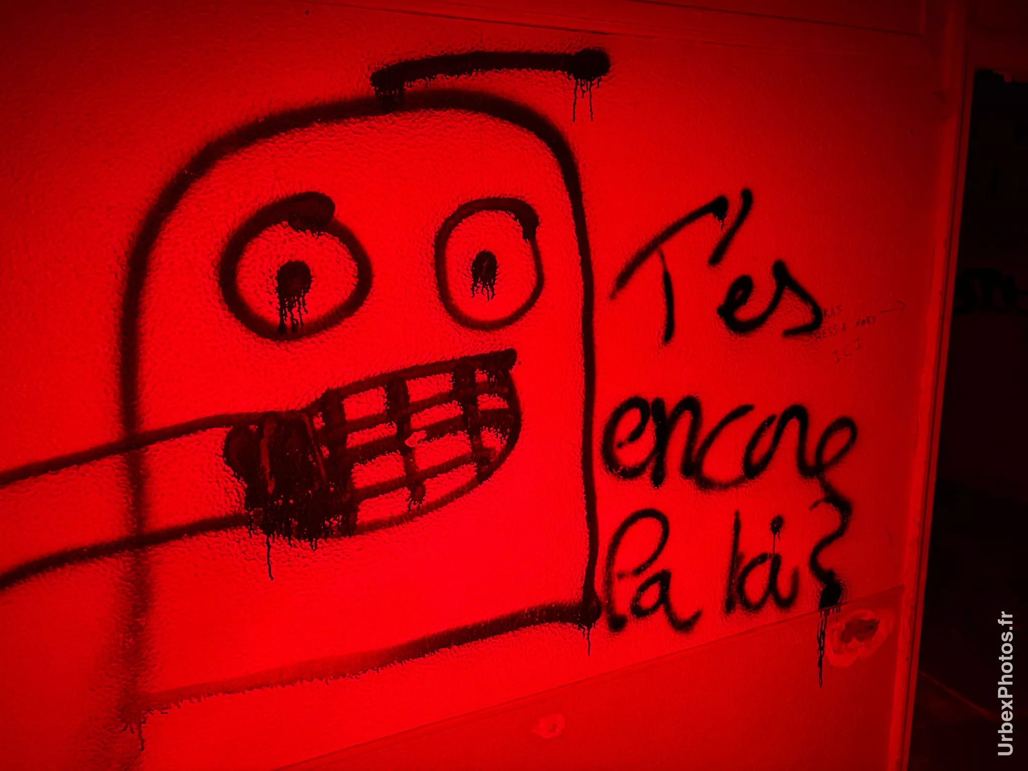 Graffiti dans le Sanatorium Simone Weber