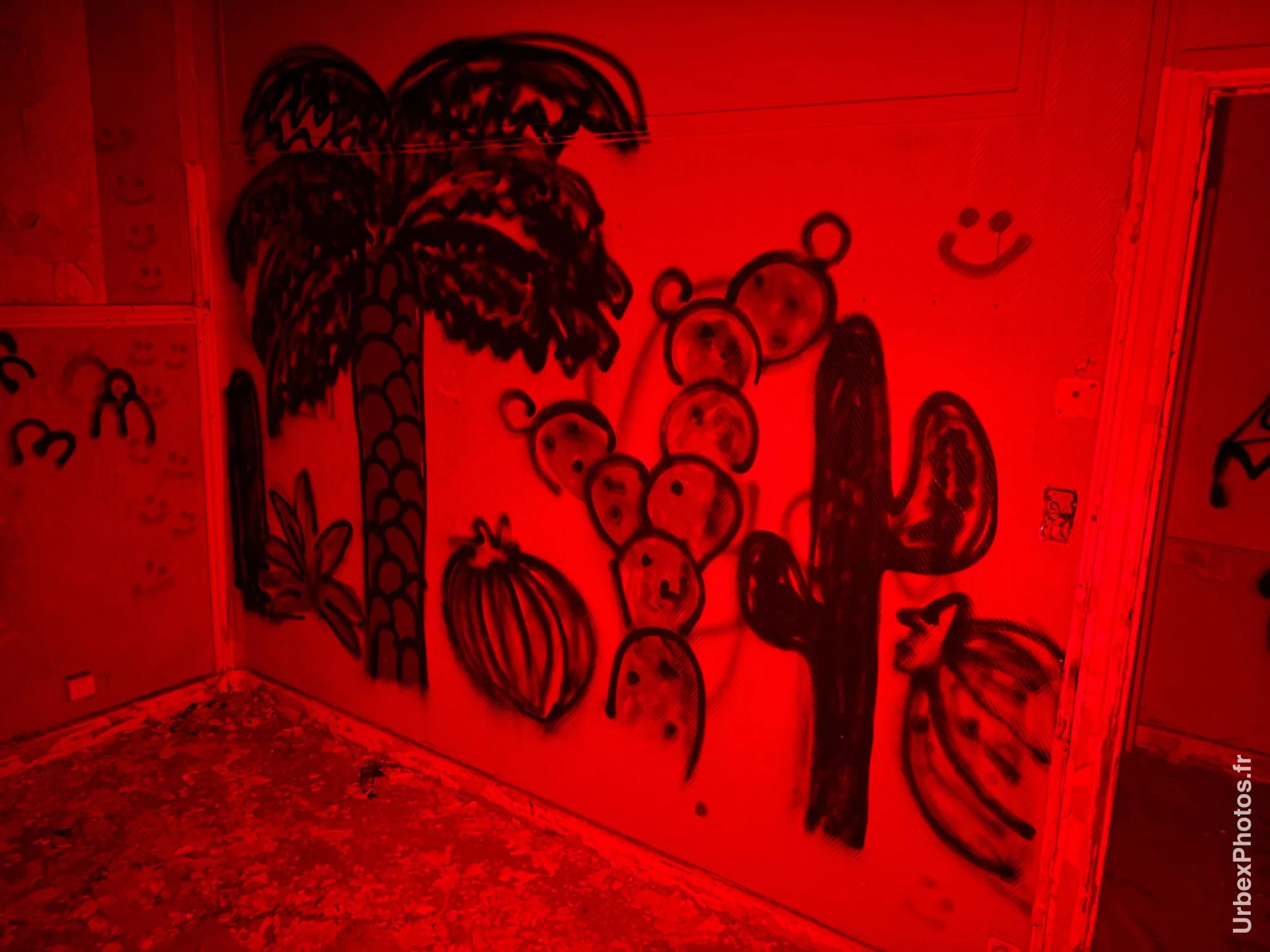 Graffiti dans le Sanatorium Simone Weber
